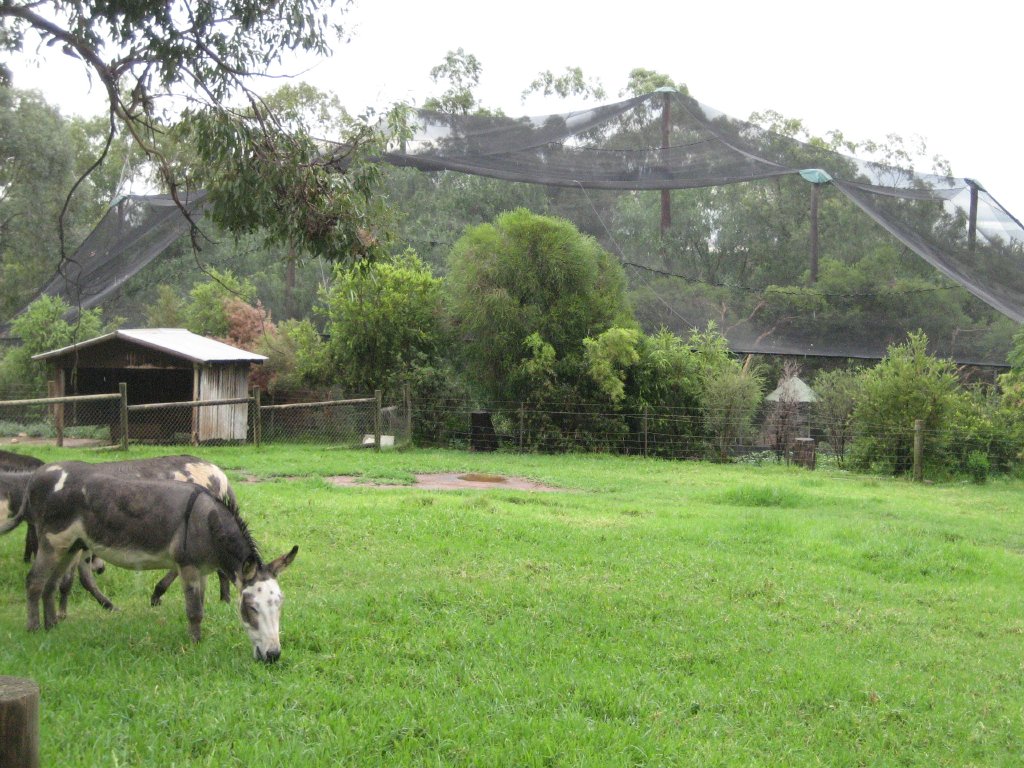 Free-flight Aviary exterior view