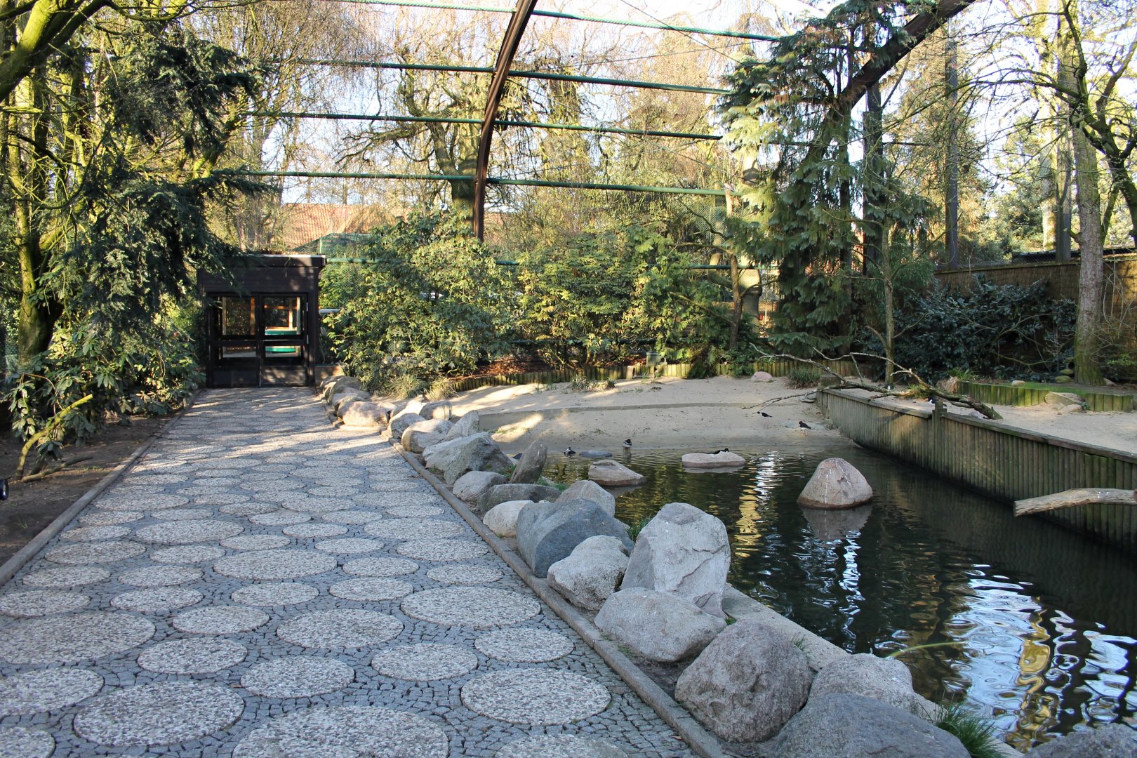 Free flight aviary, "Freiflughalle" - Costal birds