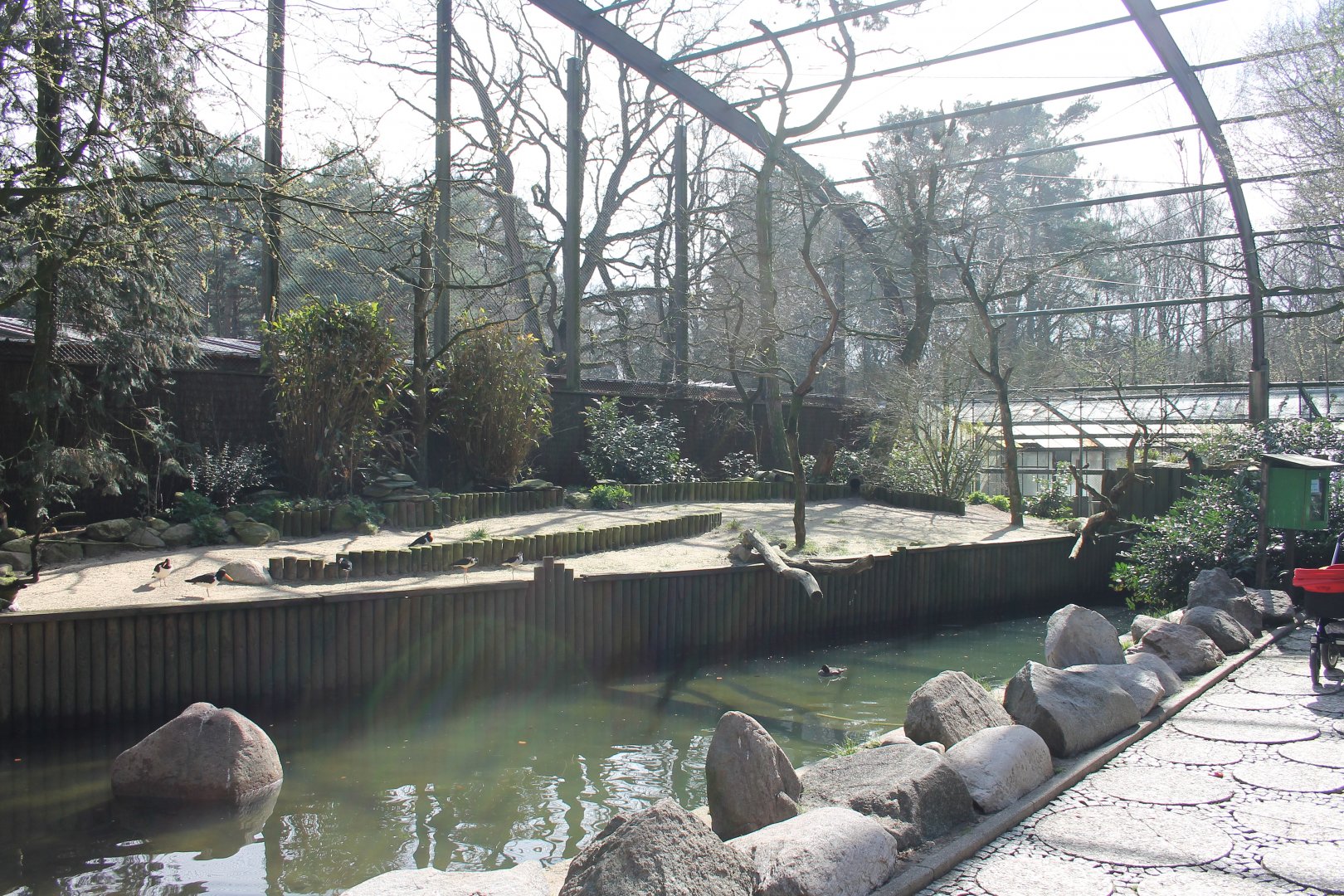 Free flight aviary, "Freiflughalle" - Costal birds