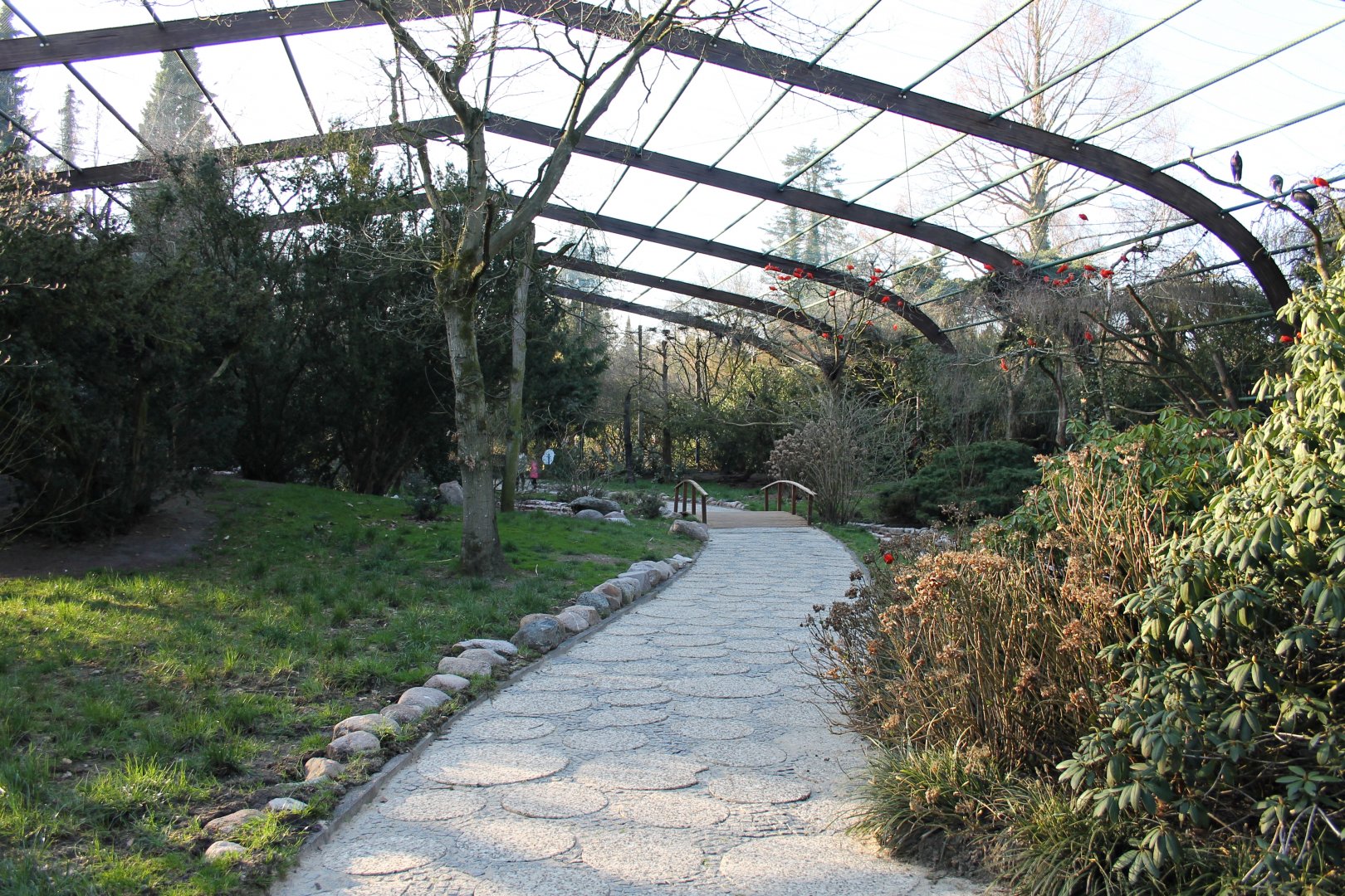 Free flight aviary, "Freiflughalle".