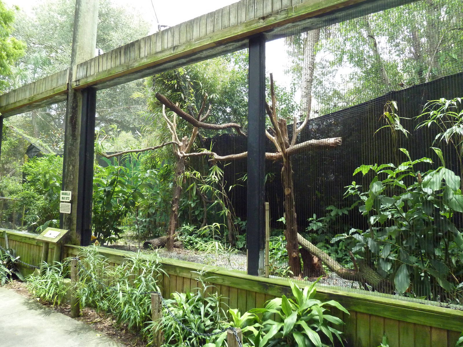 Free-Flight Aviary - Great Indian Hornbill Exhibit