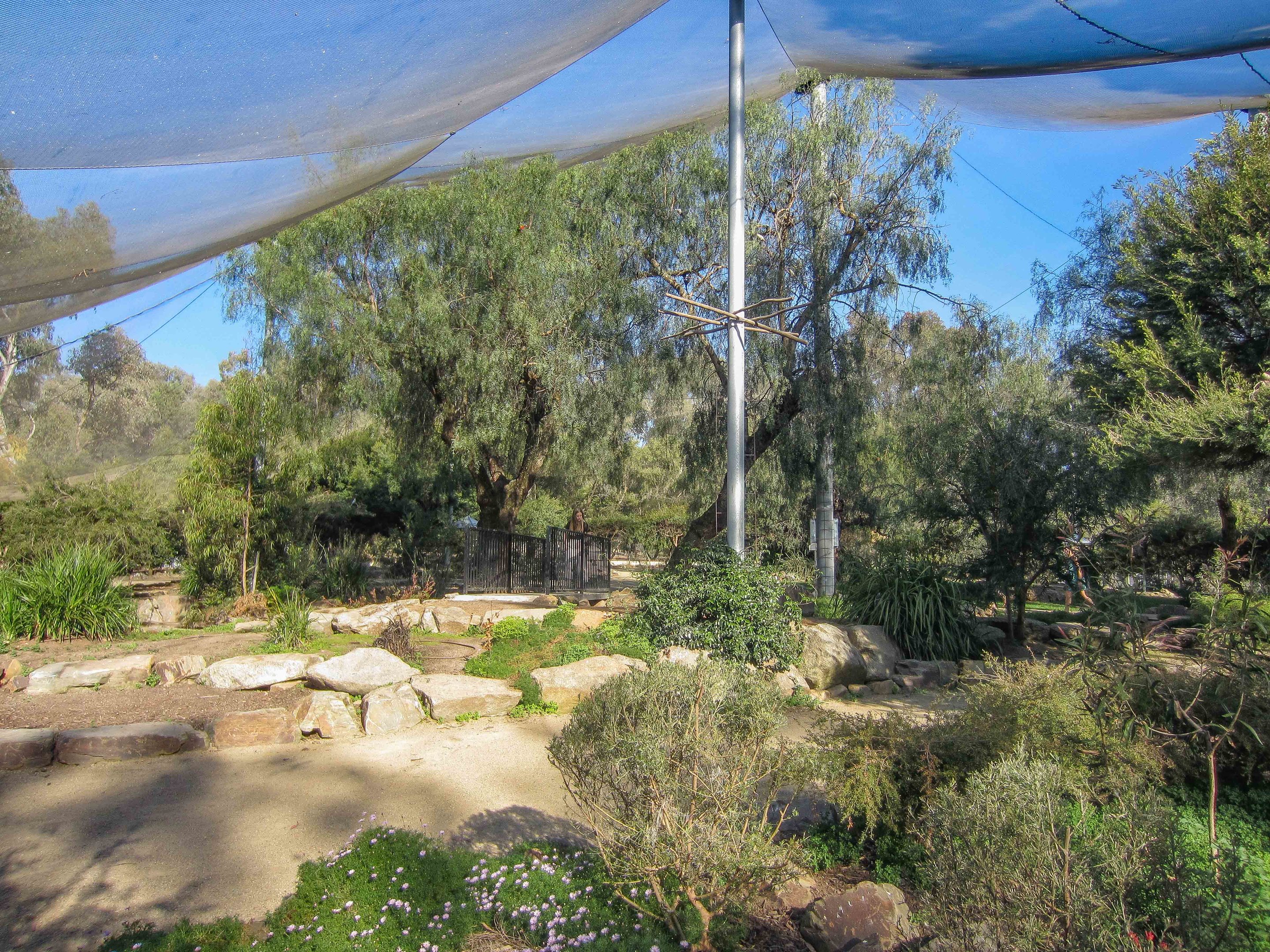 Free-flight Aviary interior