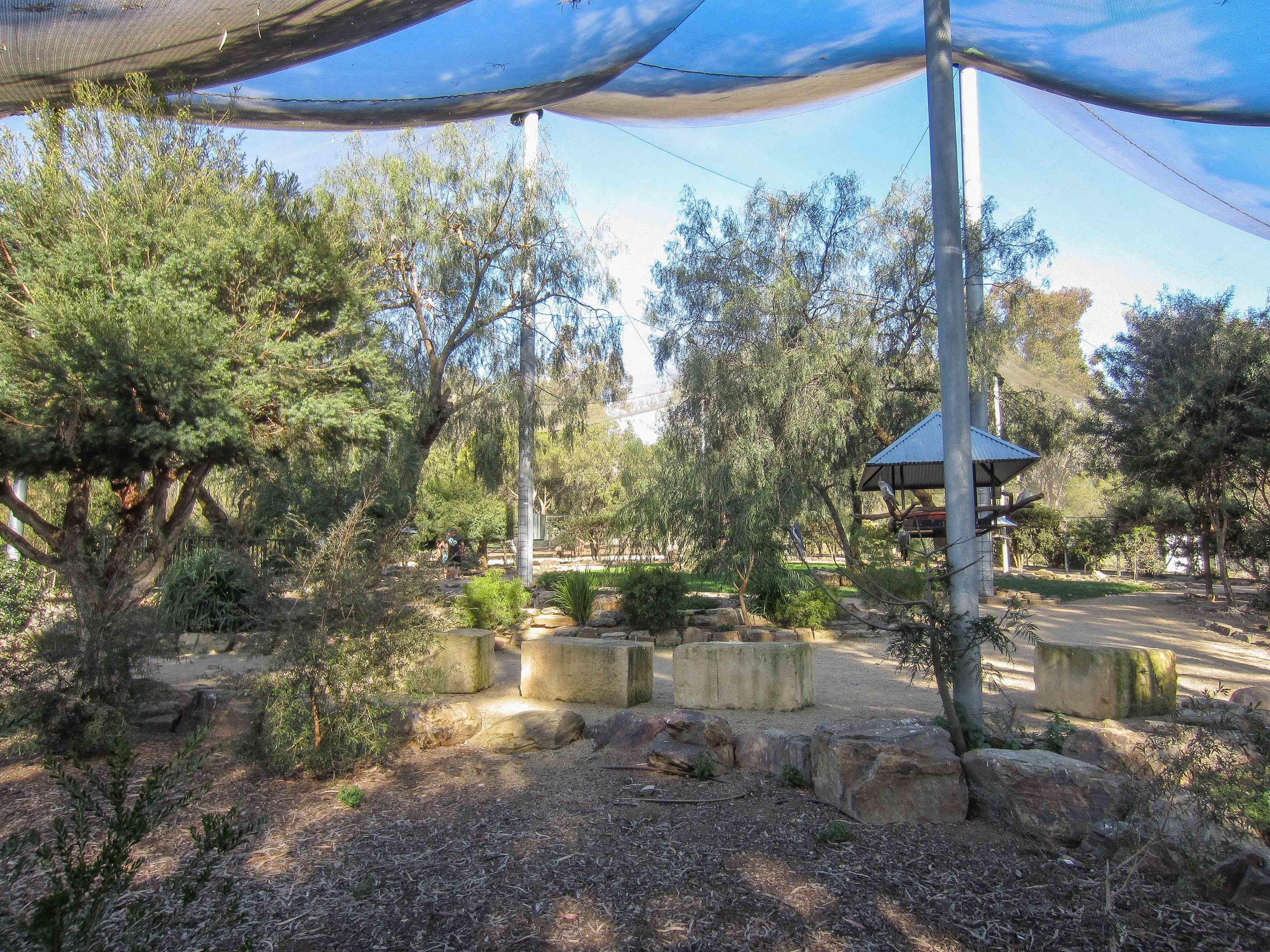 Free-flight Aviary interior
