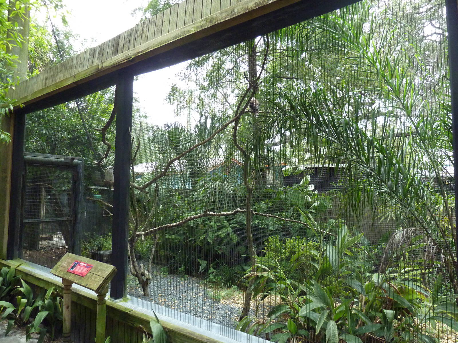 Free-Flight Aviary - Kookaburra Exhibit