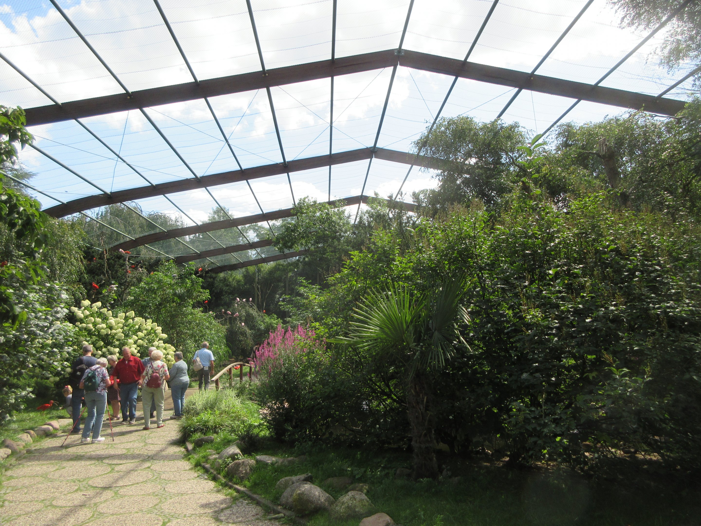 Free-flight Aviary (wading birds)