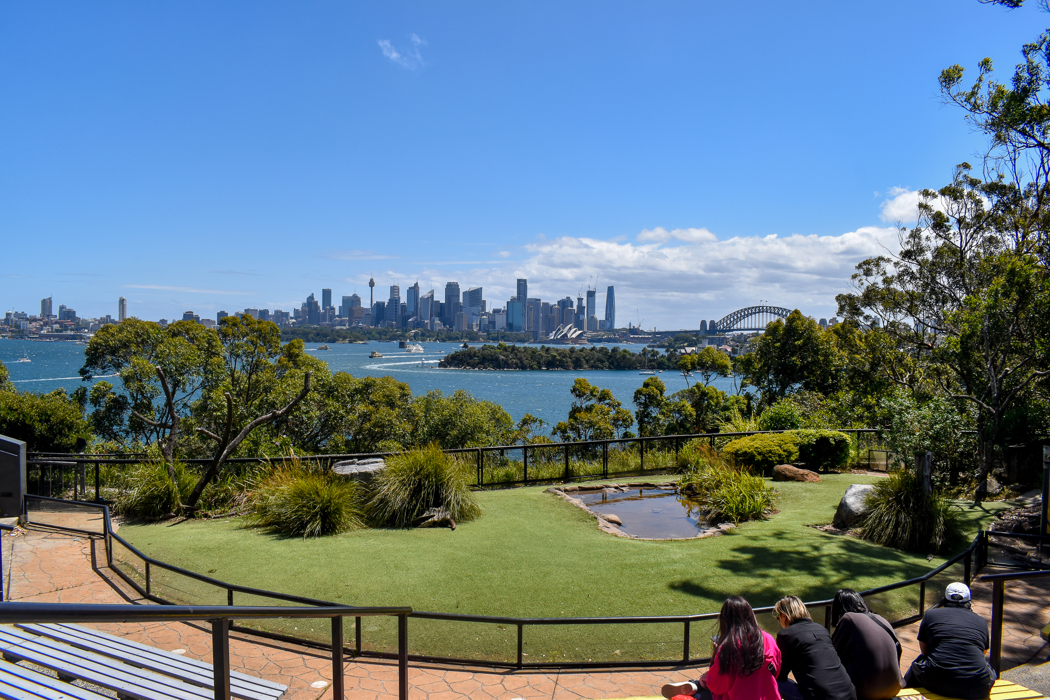 Free-Flight Bird Show Stadium and View