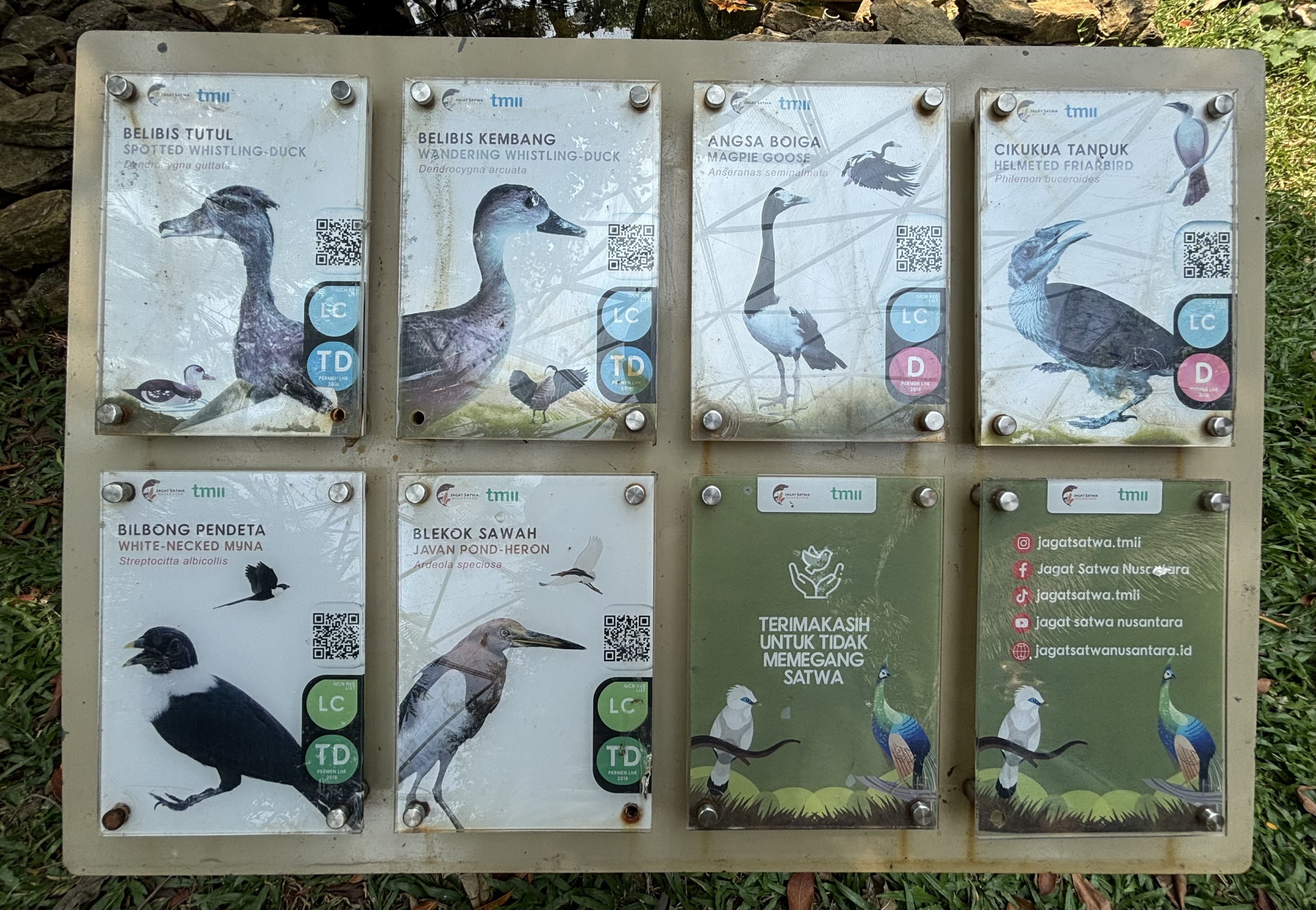 Free-flight Bird Signs