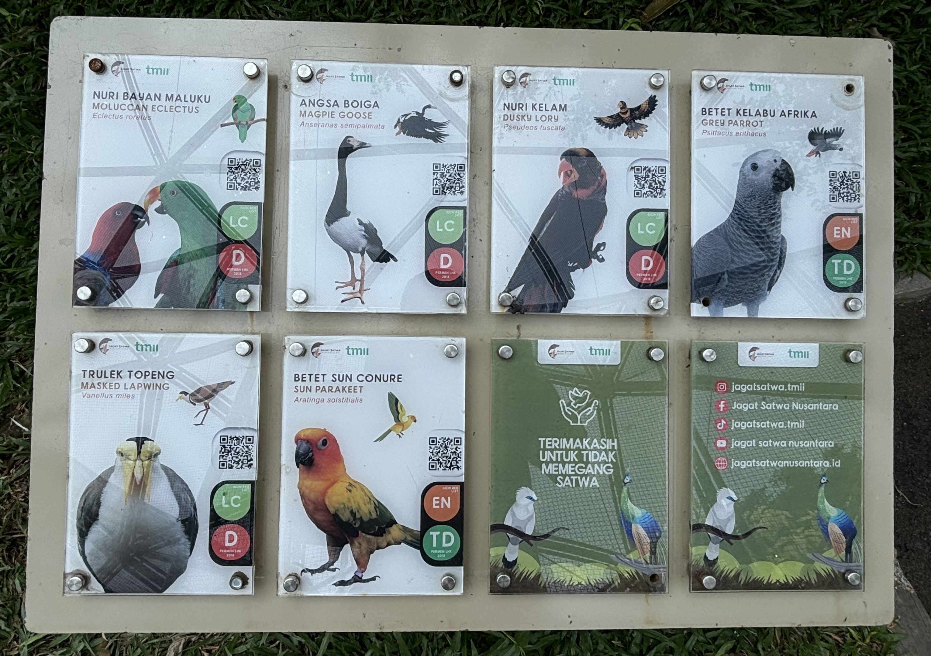 Free-flight Bird Signs