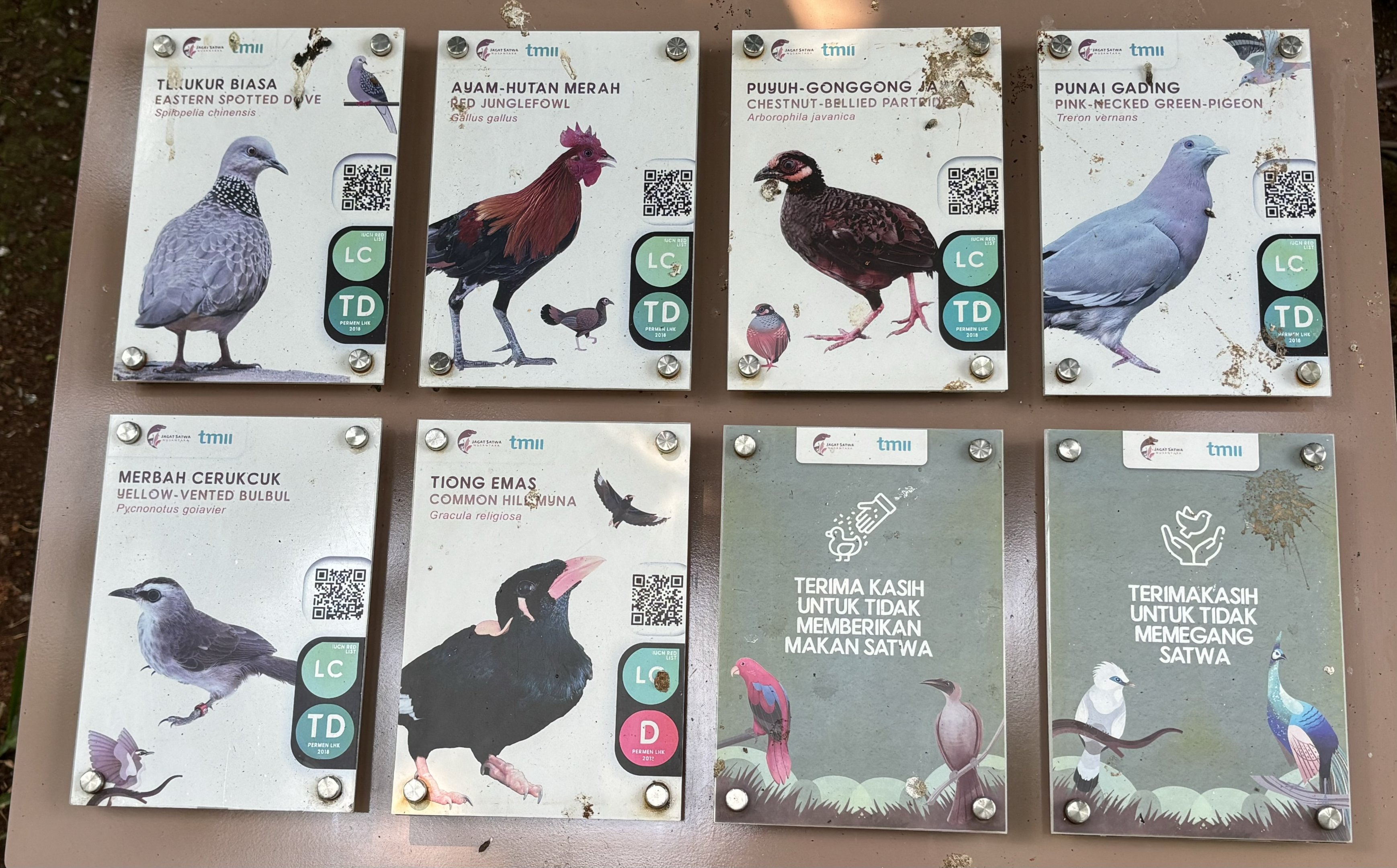 Free-flight Bird Signs