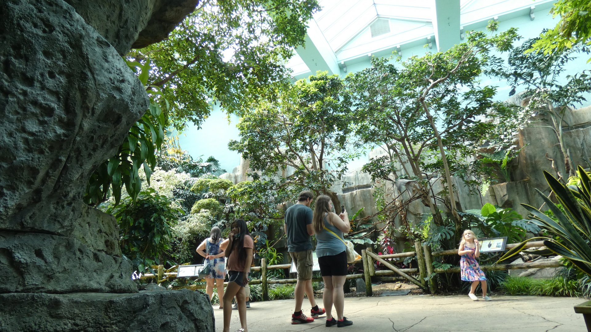 Free Flight Exhibit, Aviary - Aug. 2021