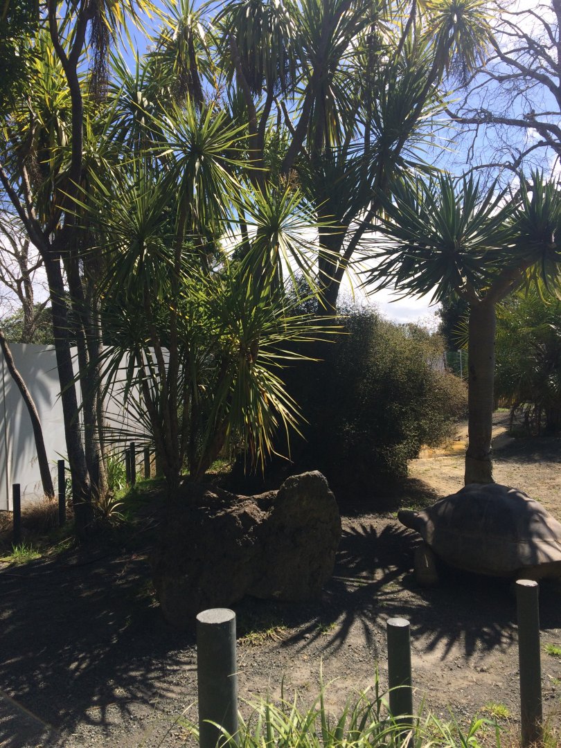 Free Flight Exhibit Construction Area