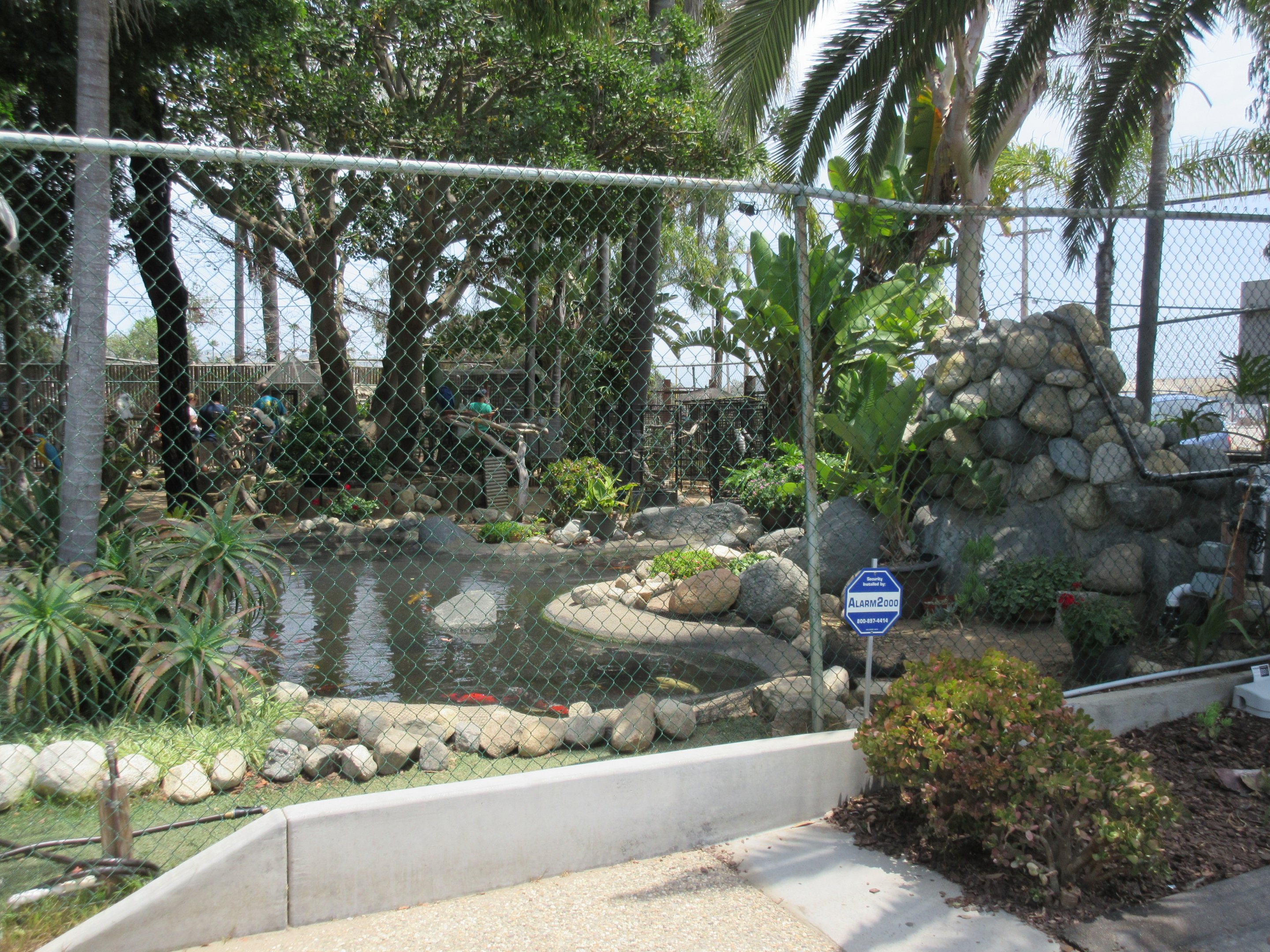 Free Flight: Exotic Bird Sanctuary