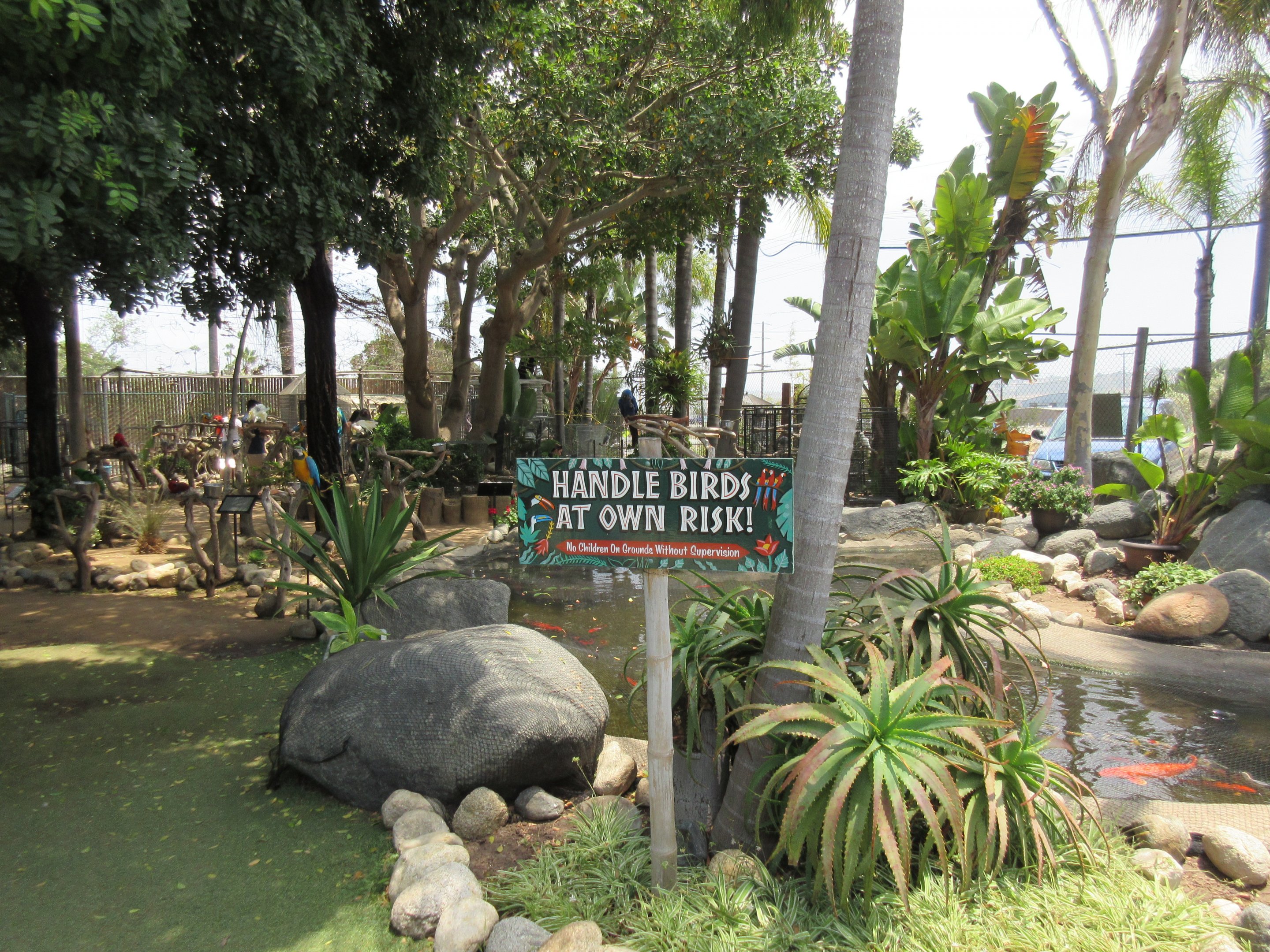 Free Flight: Exotic Bird Sanctuary