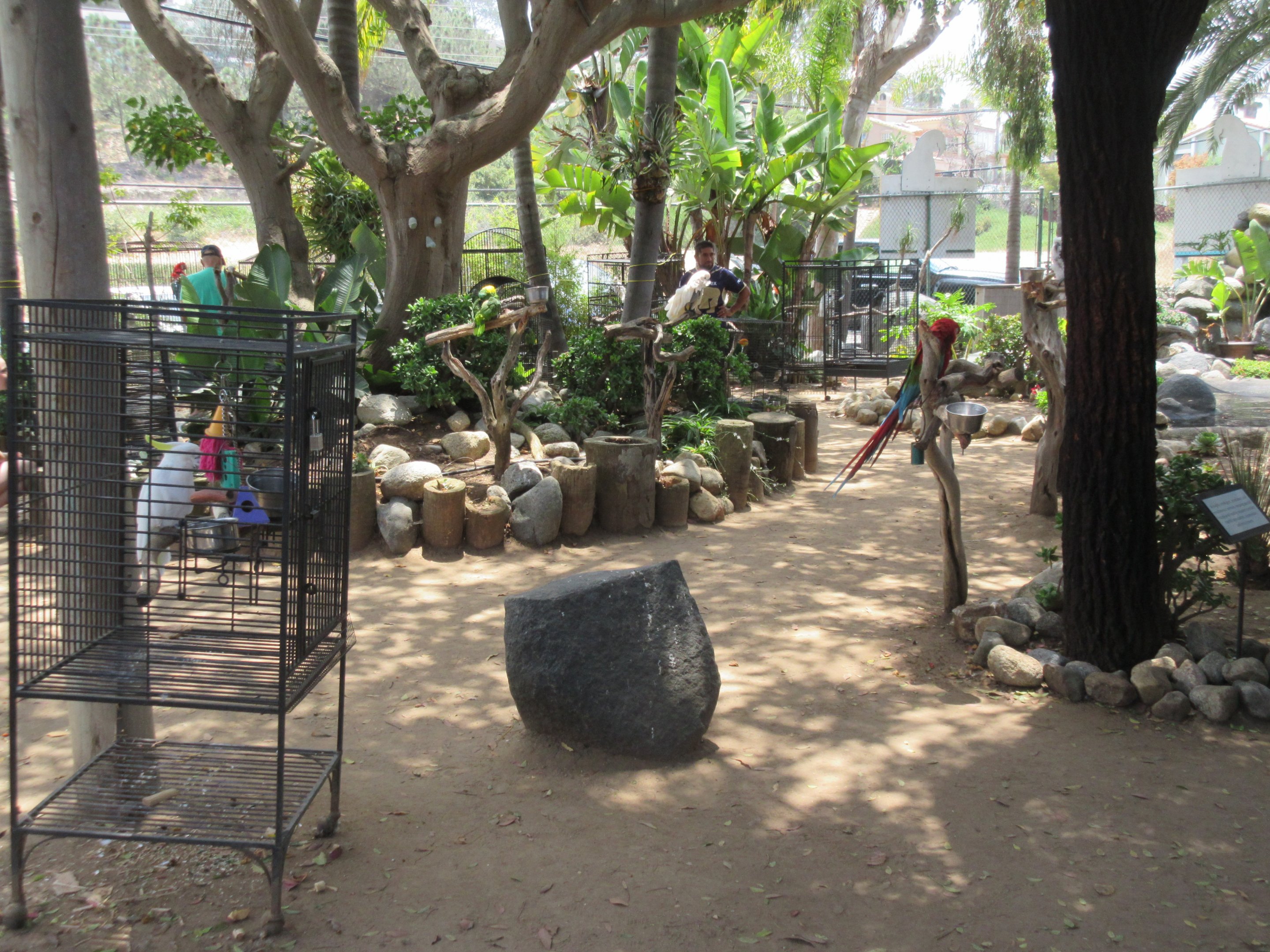 Free Flight: Exotic Bird Sanctuary