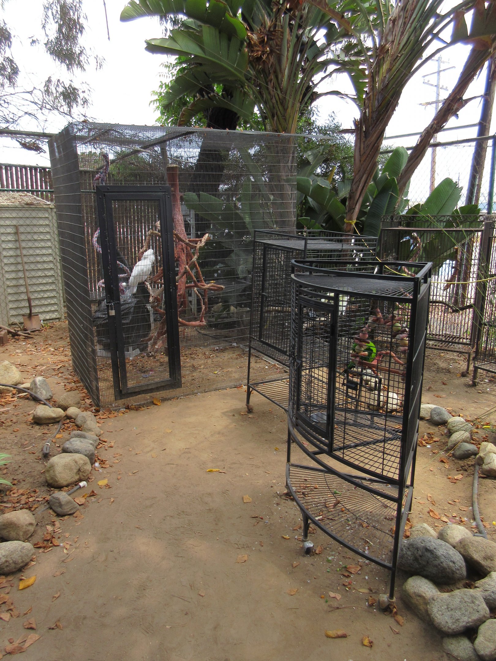 Free Flight: Exotic Bird Sanctuary