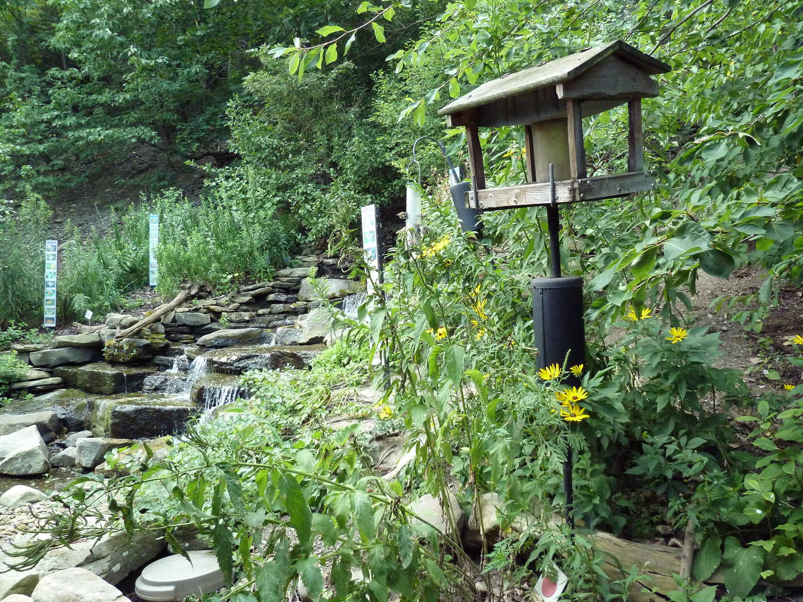 Free Flight Falls - Wild Bird Area