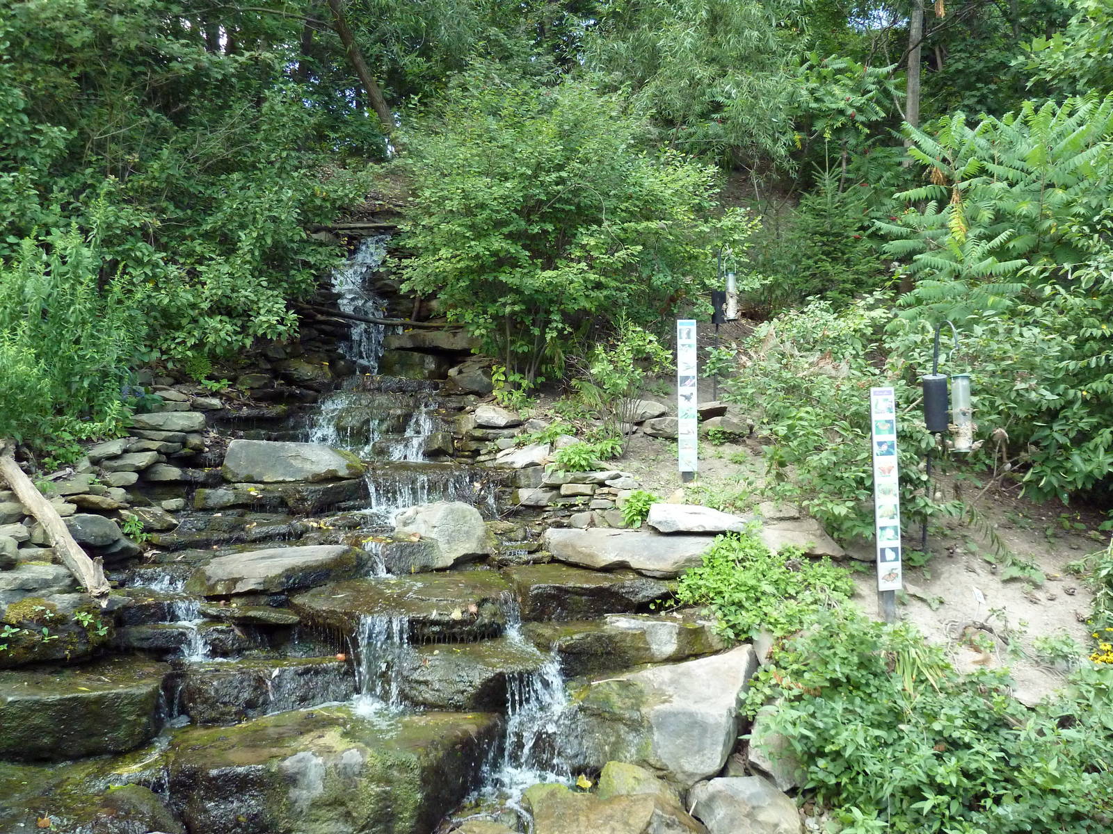 Free Flight Falls - Wild Bird Area