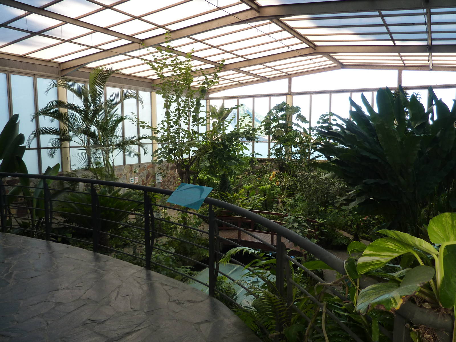 Free-flight hall, December 2012