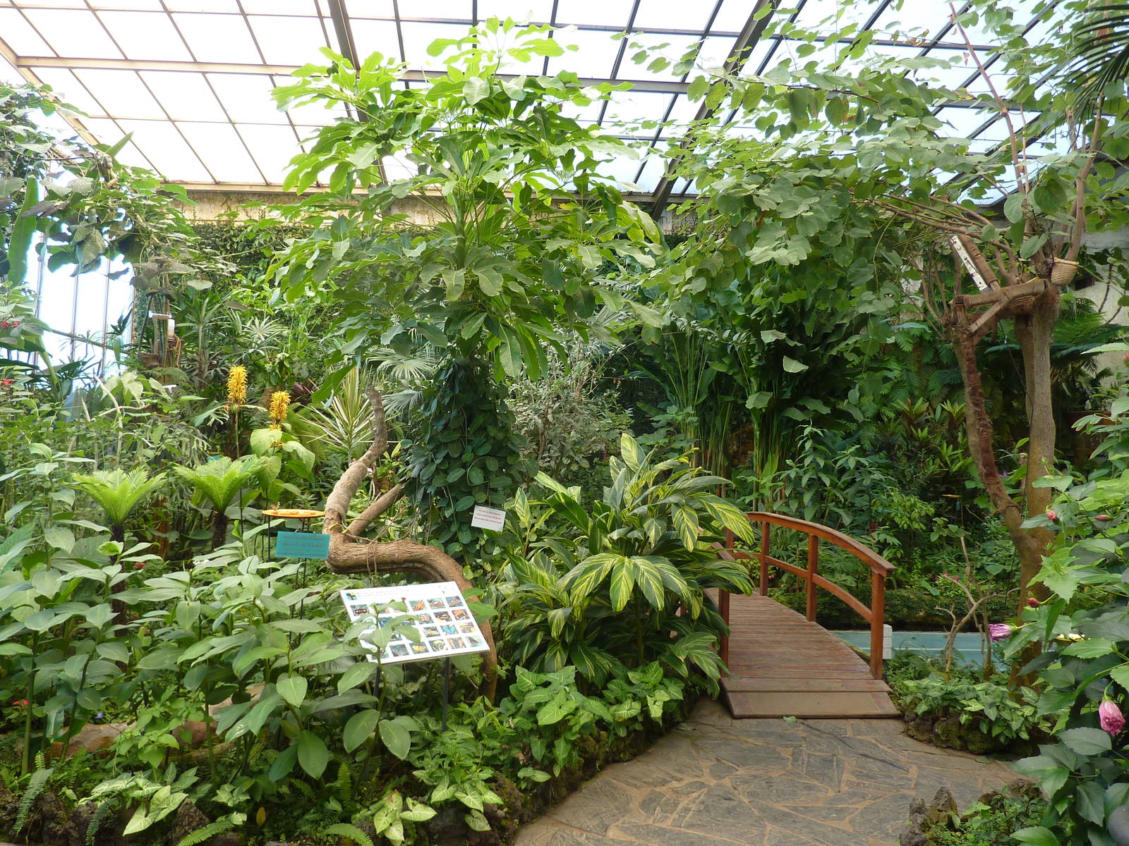 Free-flight hall, December 2012