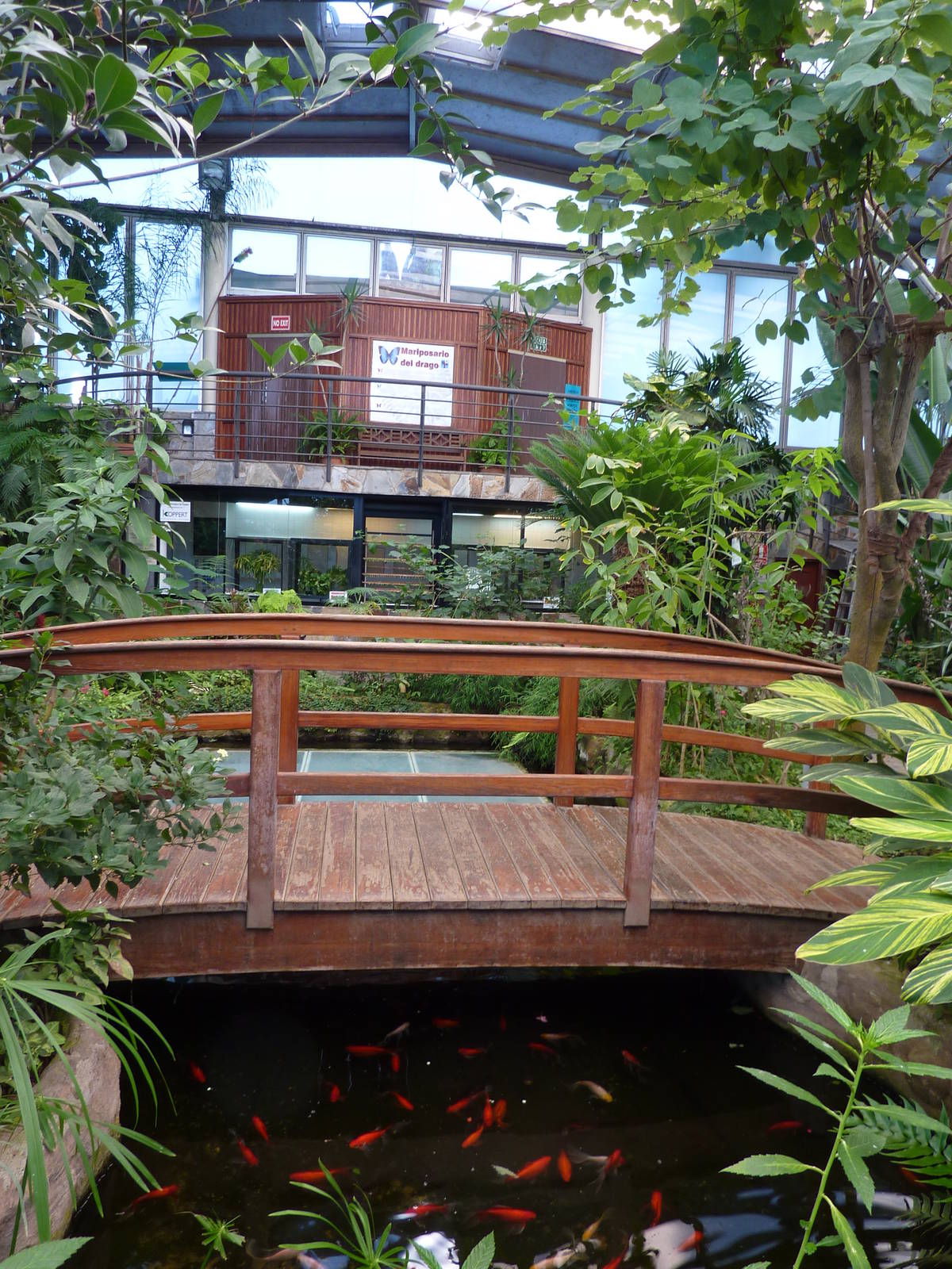 Free-flight hall, December 2012