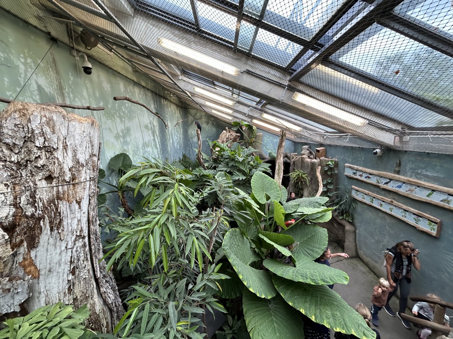 Free-flight Room - Rakos House