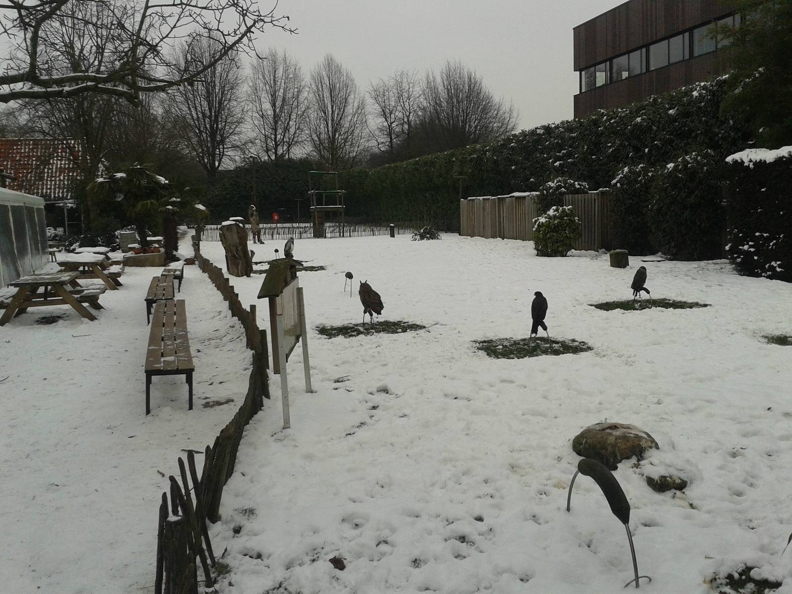 free-flight show area