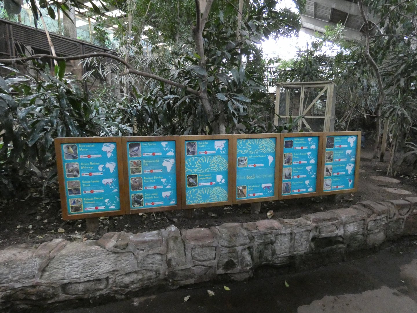 Free-flying bird species in Tropical Realm