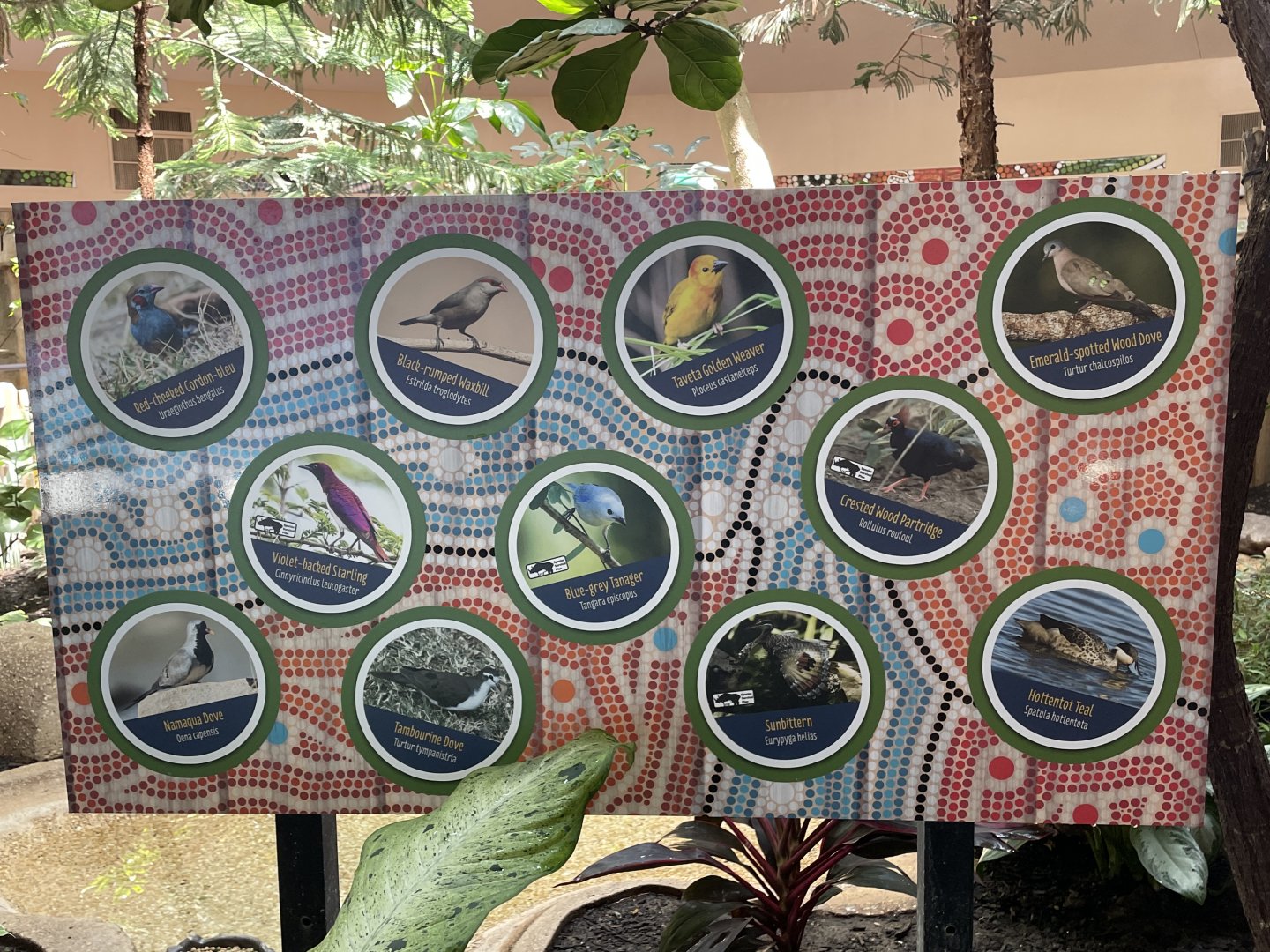 Free flying birds signage