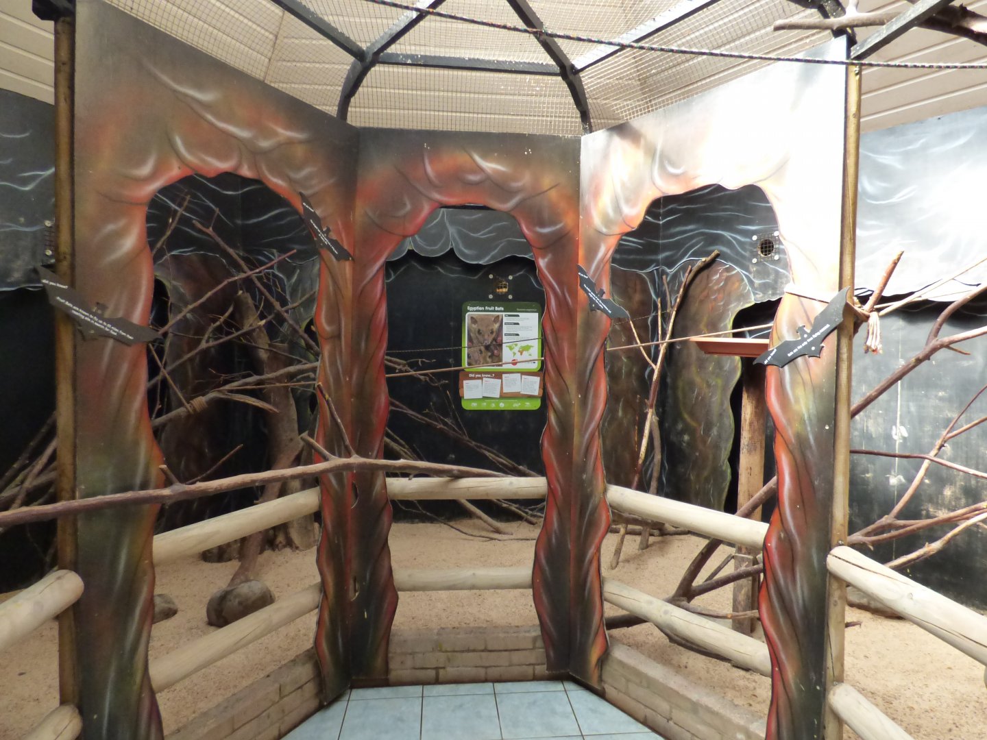 Free-Flying Egyptian Fruit-Bat Area