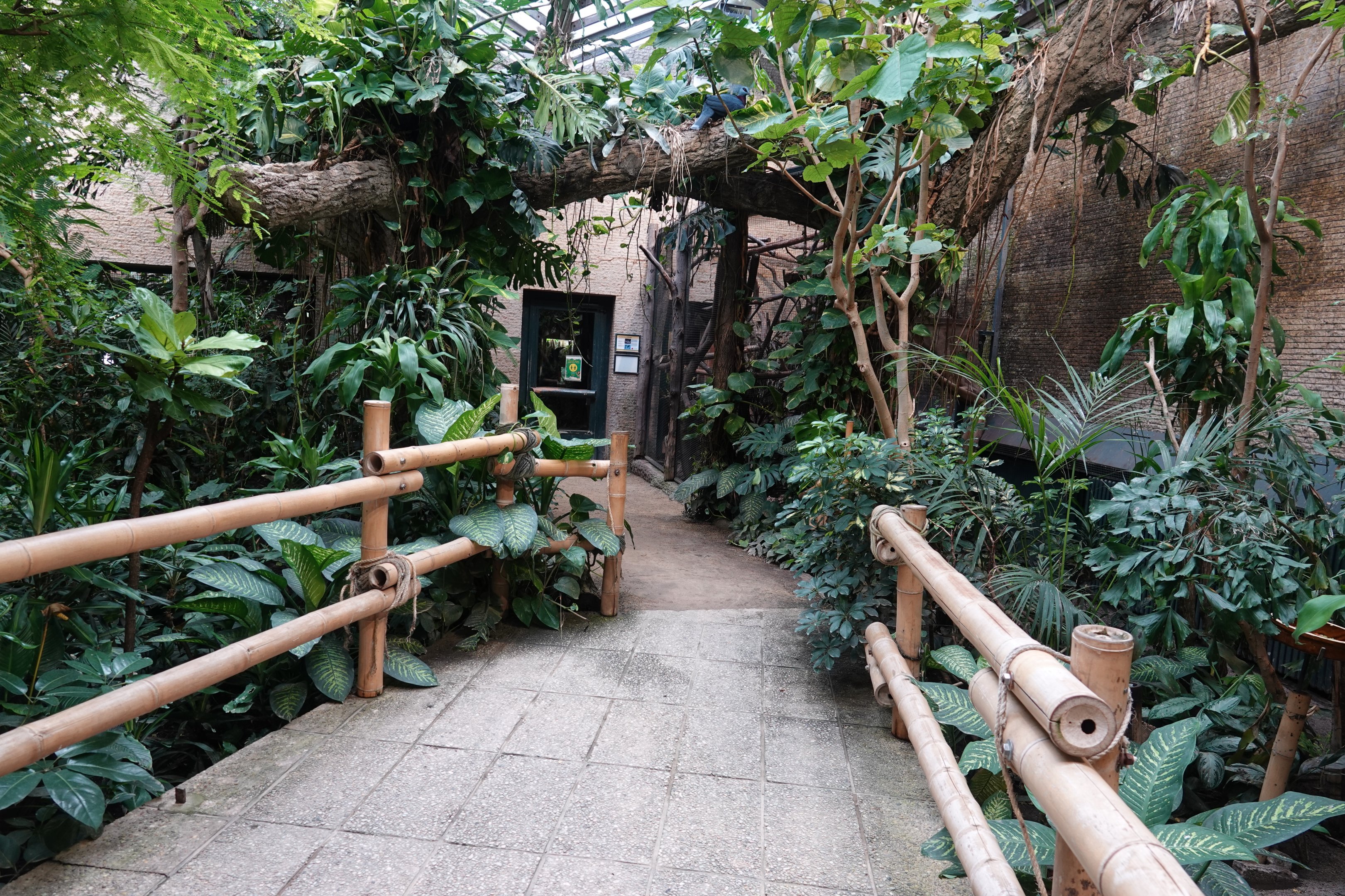 Free-flying part of the birdhouse