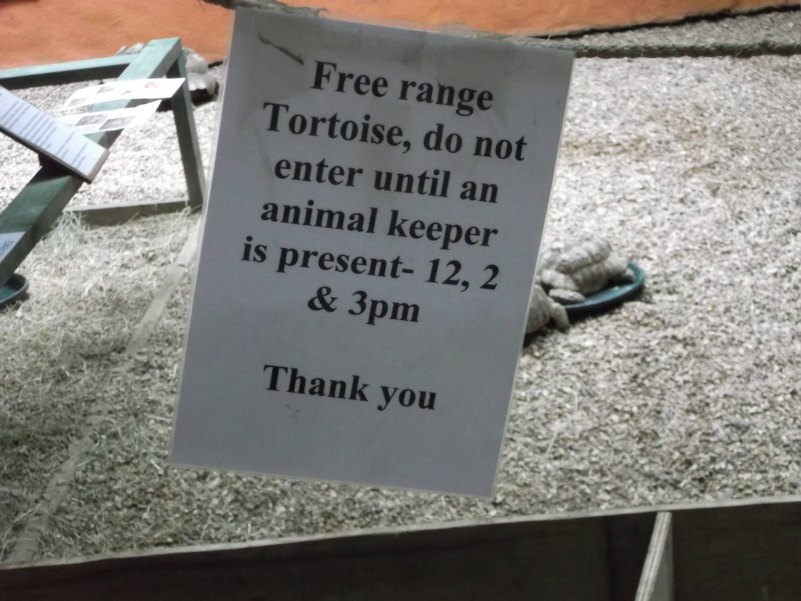 Free range tortoise sign 12/4/.2014