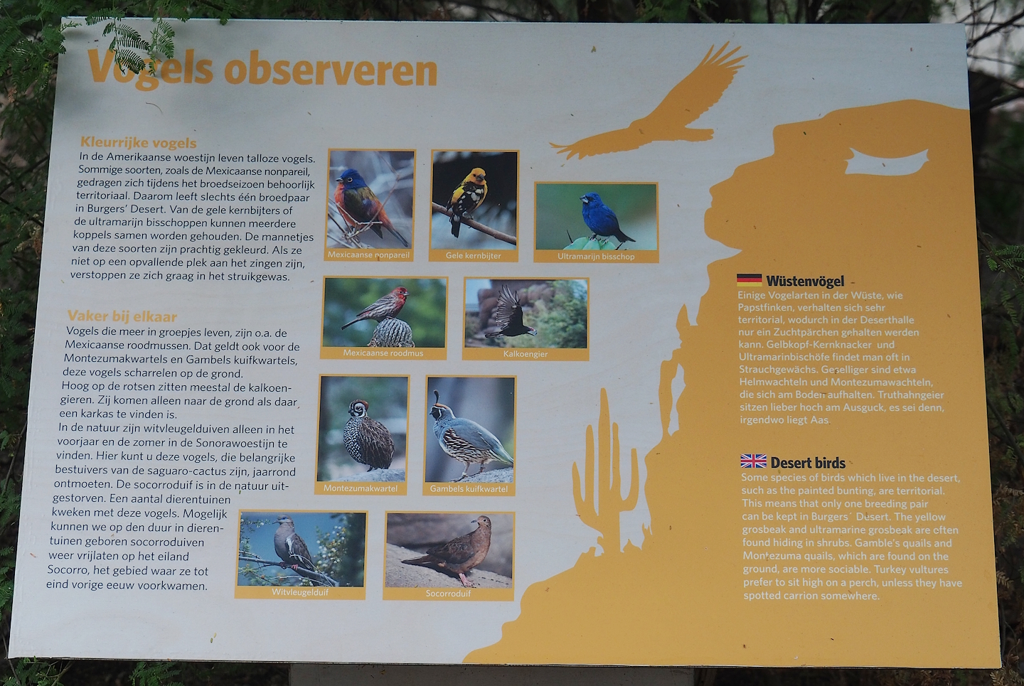 Free-ranging bird species in the Desert signage, 2023-10-07