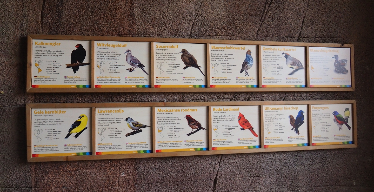 Free-ranging bird species in the Desert signs (Sep 16th, 2018)