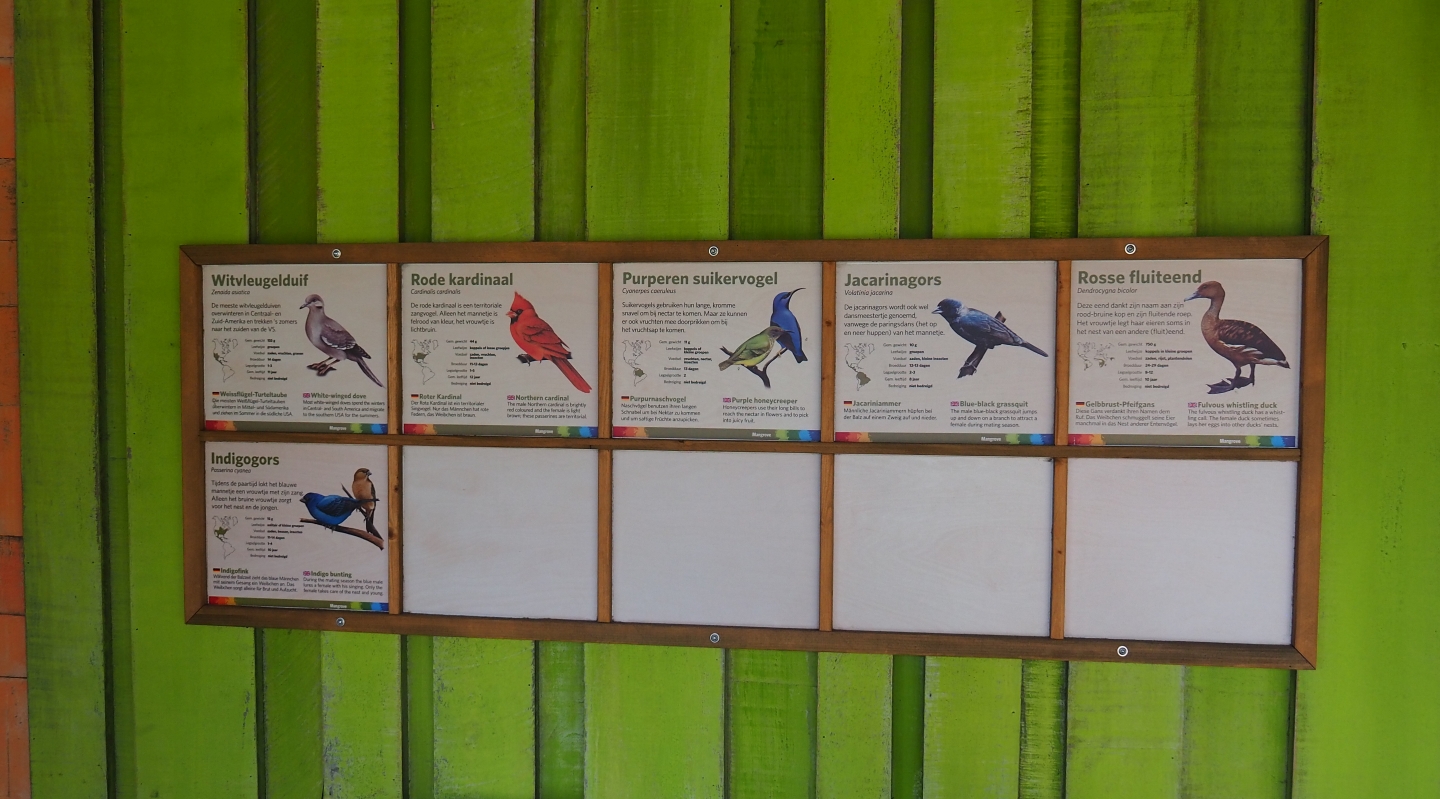 Free-ranging birds in the Mangrove signs (Sep 16th, 2018)