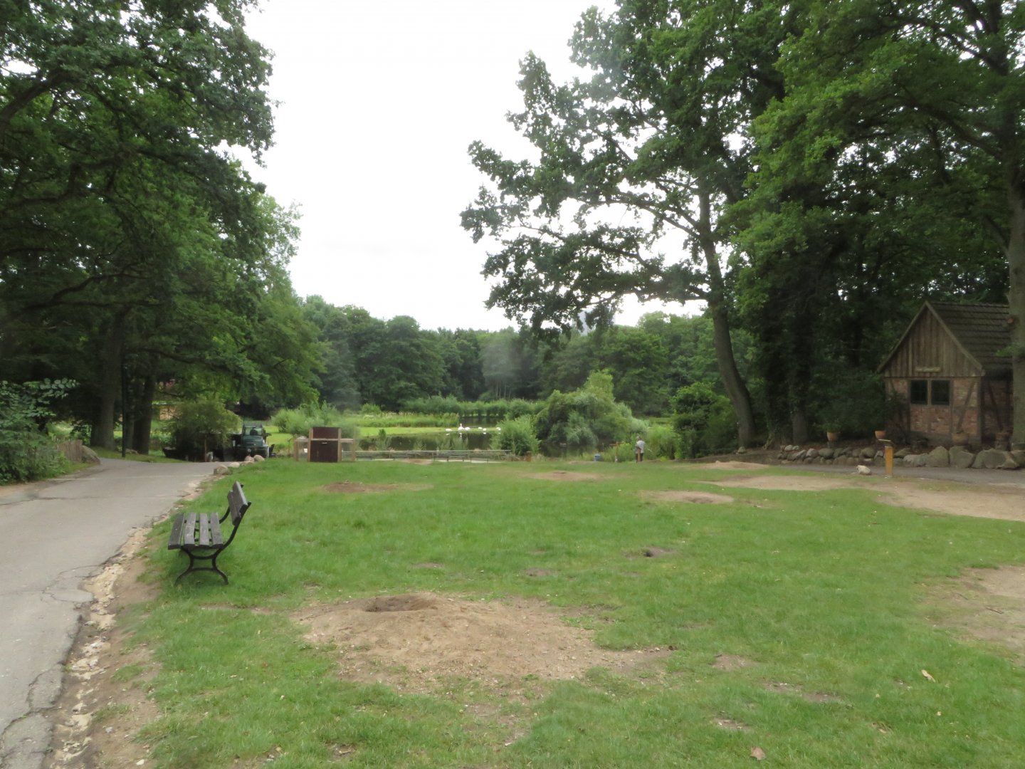 Free-ranging Prairie Dog colony