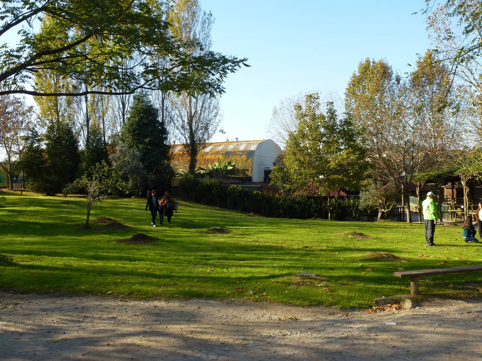 Free-ranging prairie dog field, November 2013.