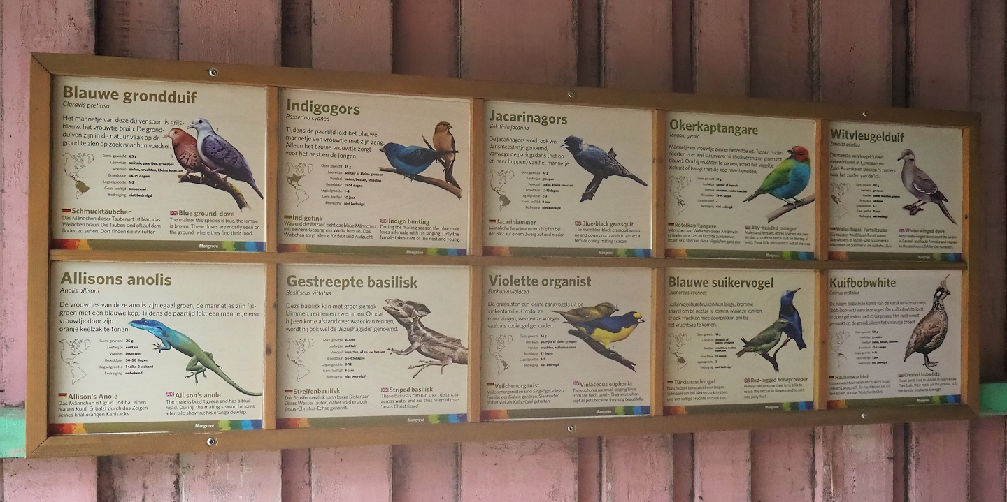 Free-ranging species in Mangrove ecodisplay signage, 2023-10-07