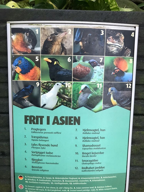 Free-ranging species in the Asia dome