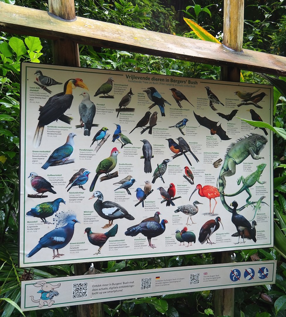 Free-ranging species in the Bush signage, 2023-10-07