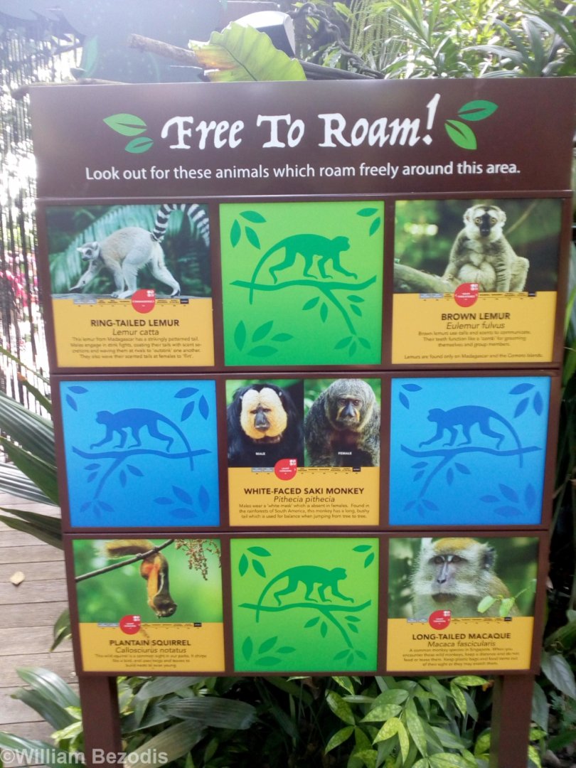 Free-roaming Animals Sign
