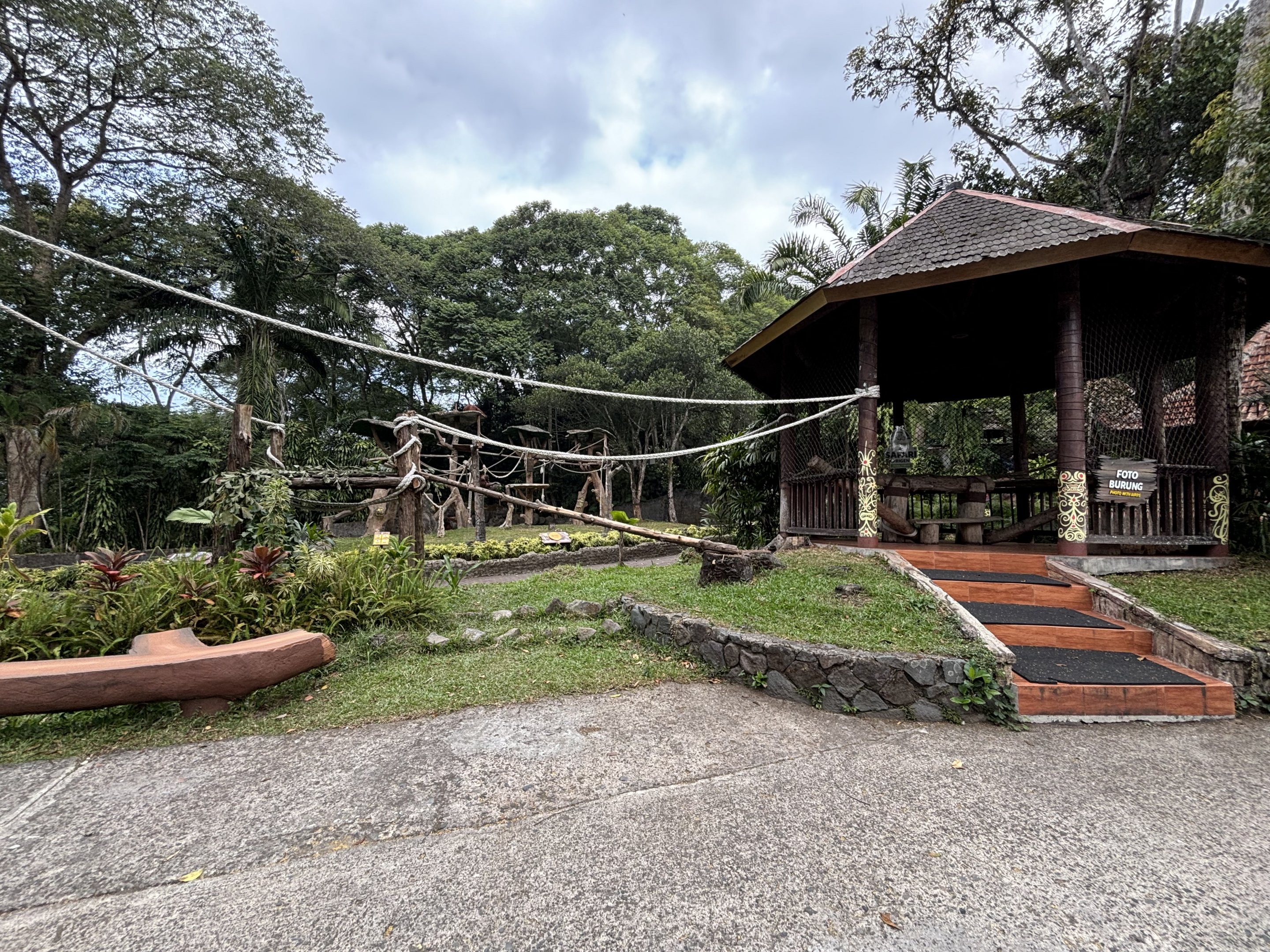 Free-roaming Bornean Orangutan Area - at specific times