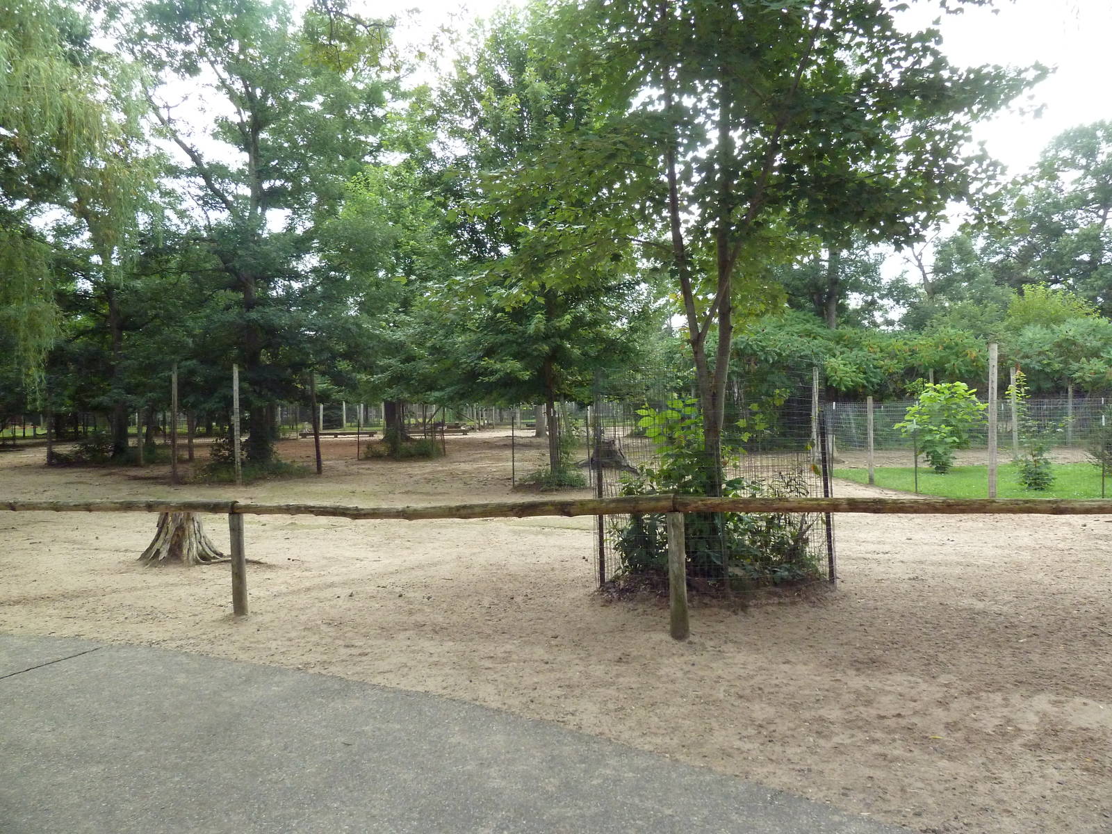 Free-Roaming Fallow Deer Area