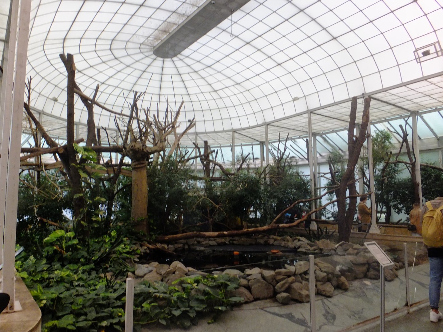 Free-roaming hall of Madagascar House