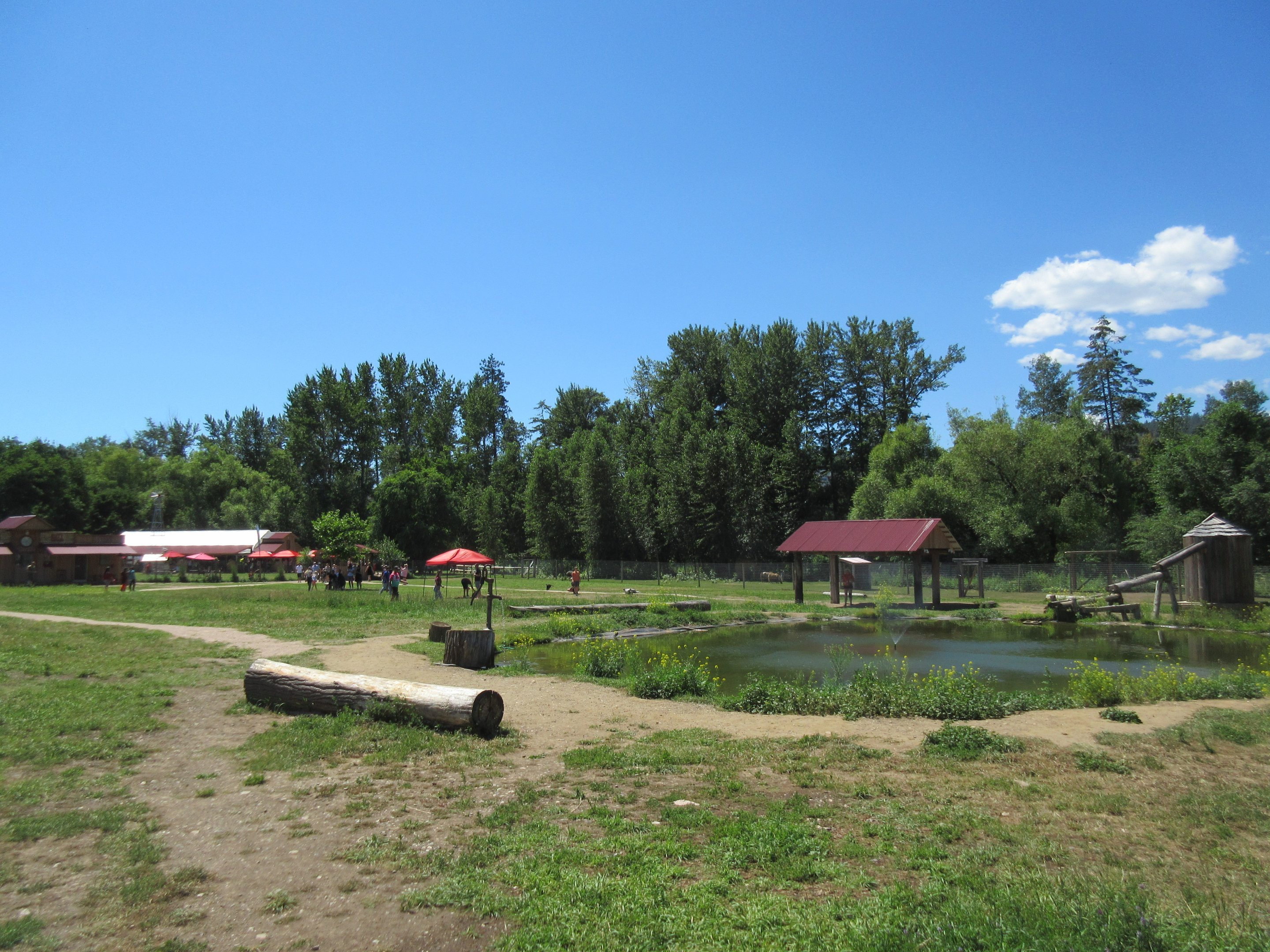 Free-Roaming Macropod Area