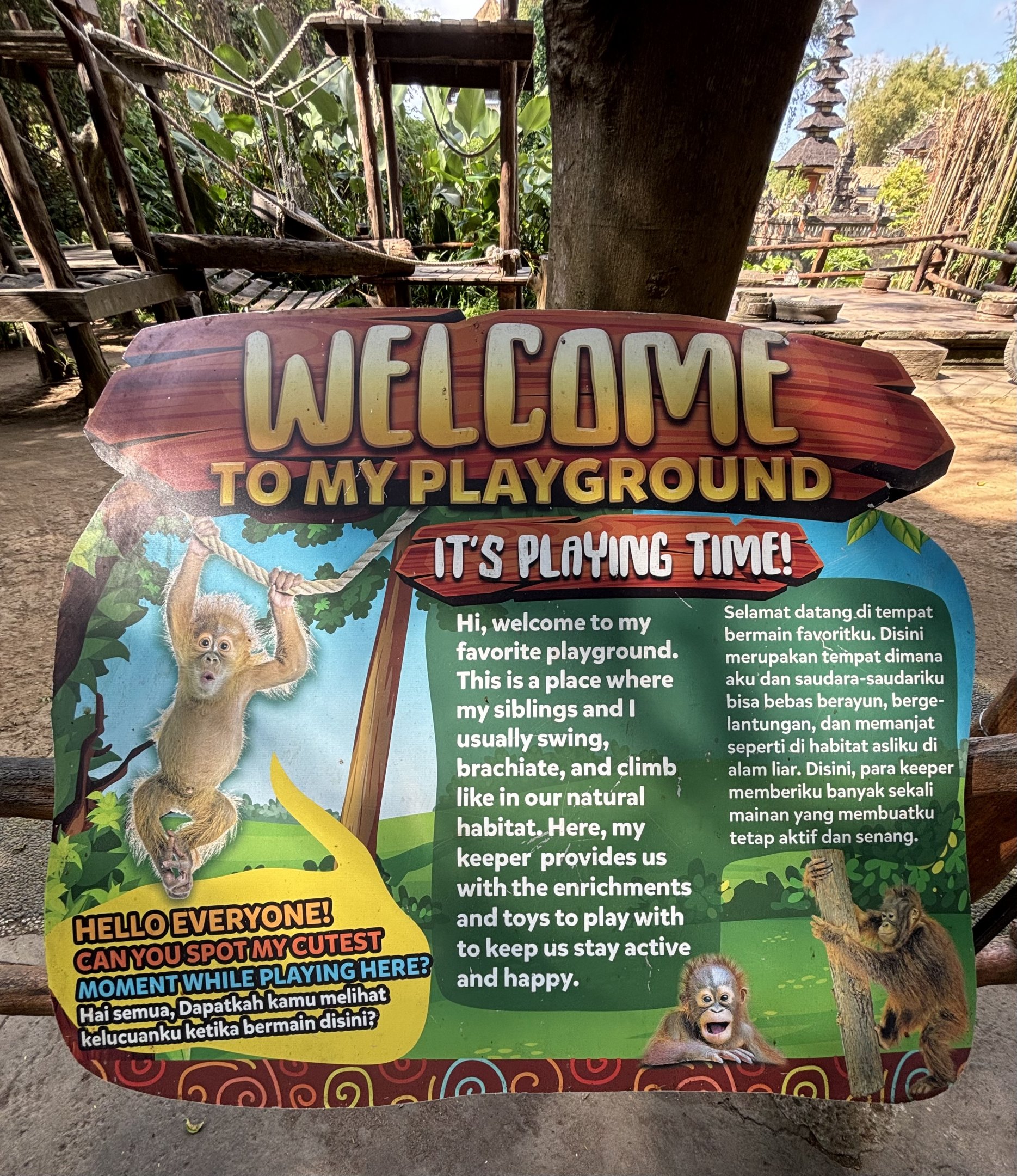 Free-roaming Orangutan Area Sign