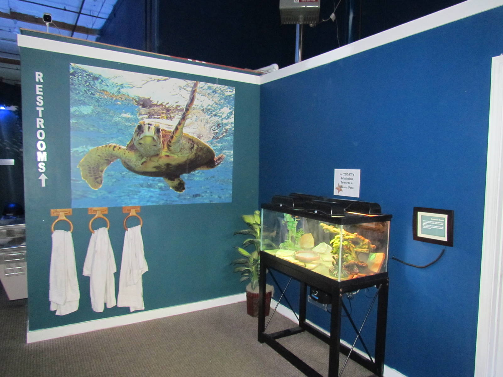 Free-standing Terrarium