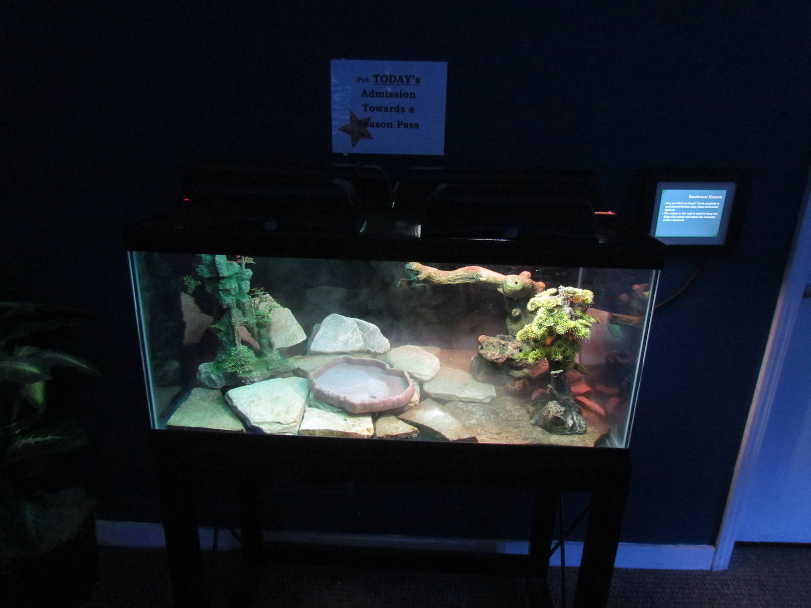 Free-standing Terrarium