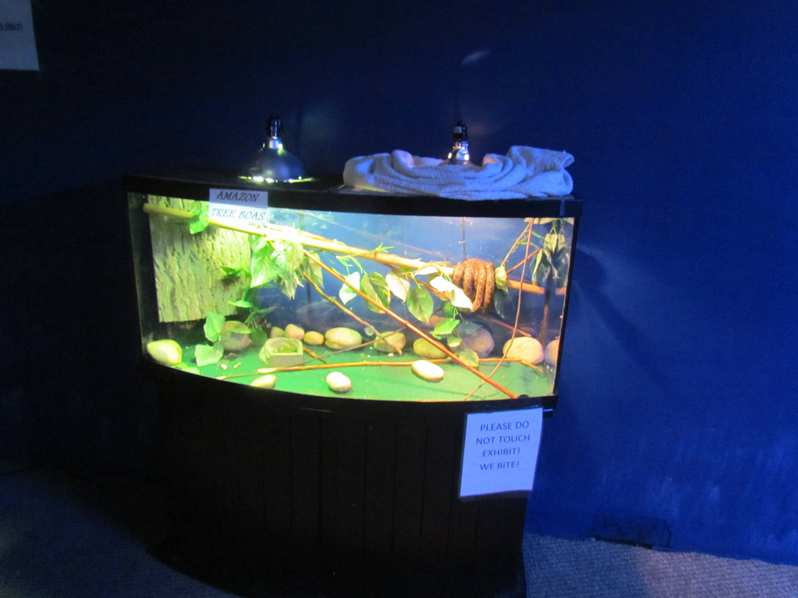 Free-standing terrarium