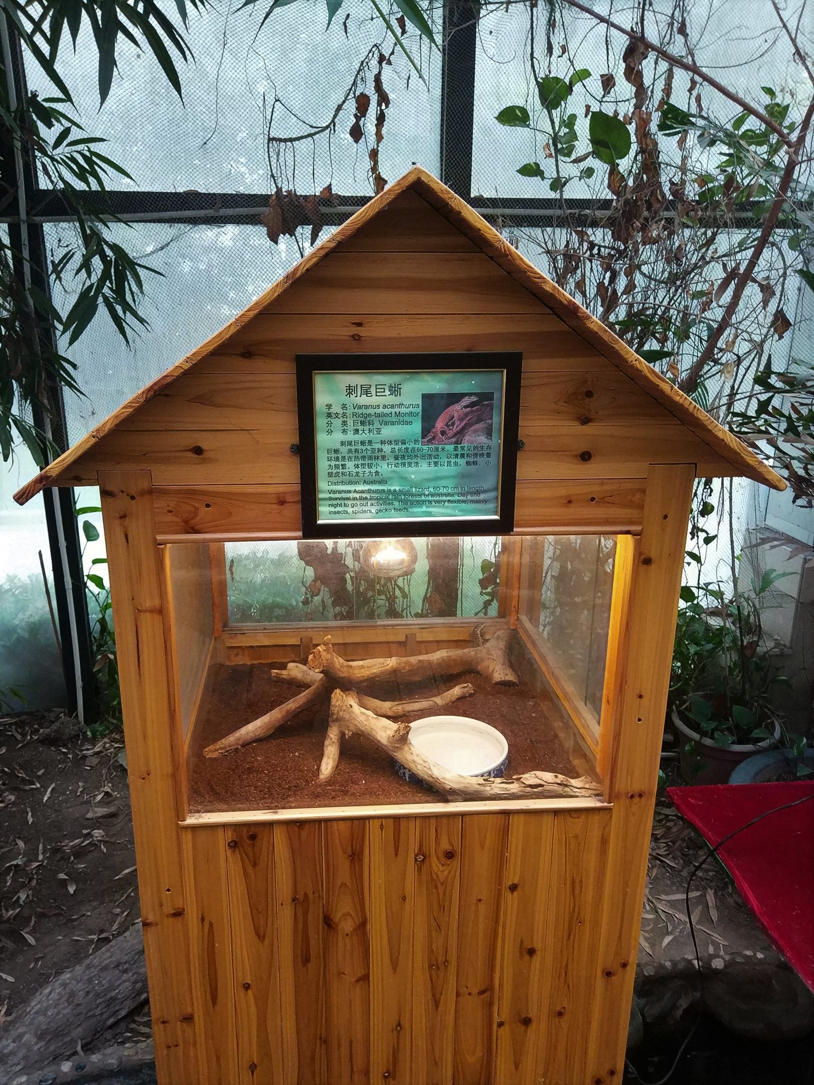 Free-standing Terrarium