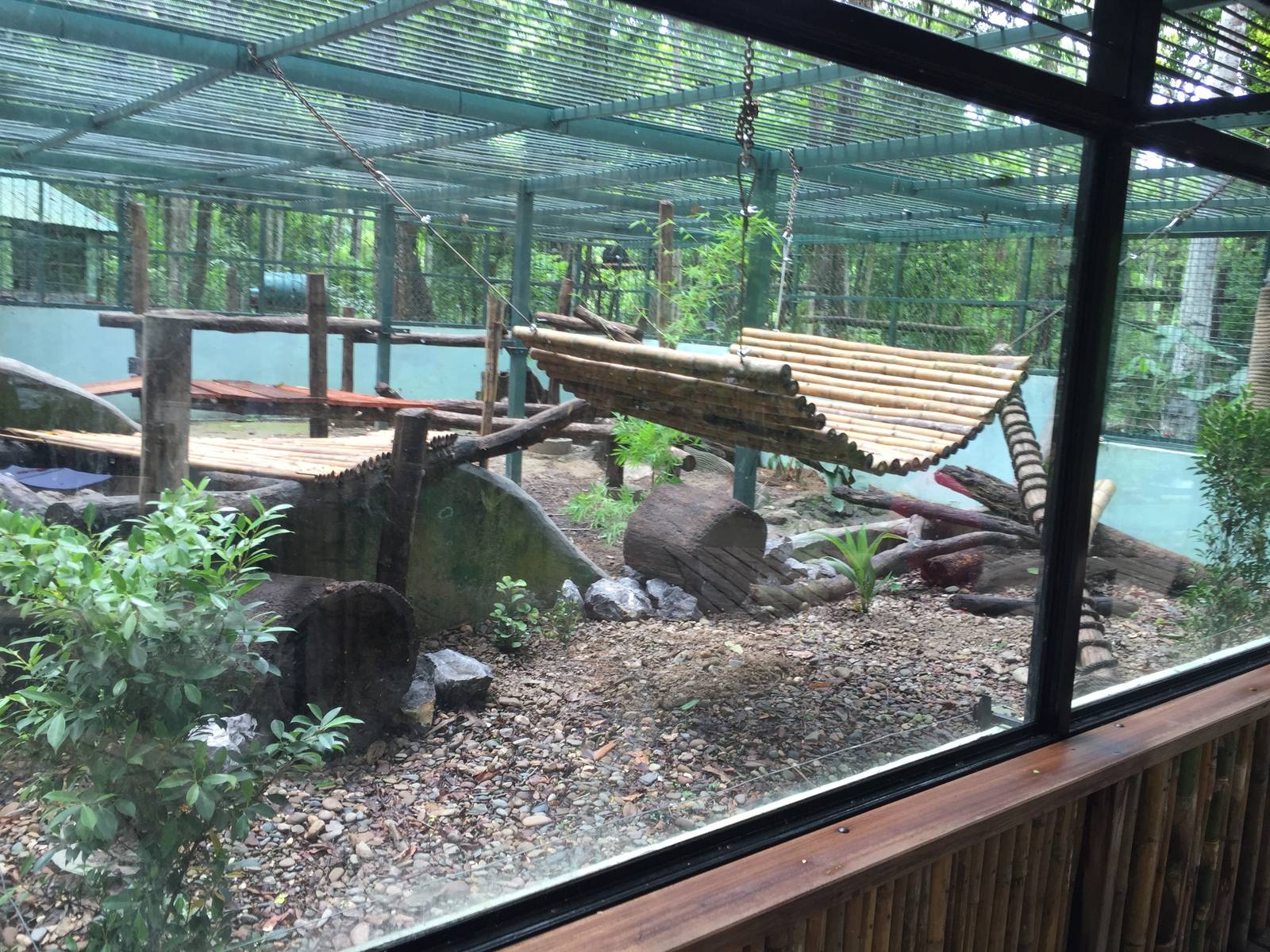 Free the Bears Tat Kuang Si Bear Rescue Centre